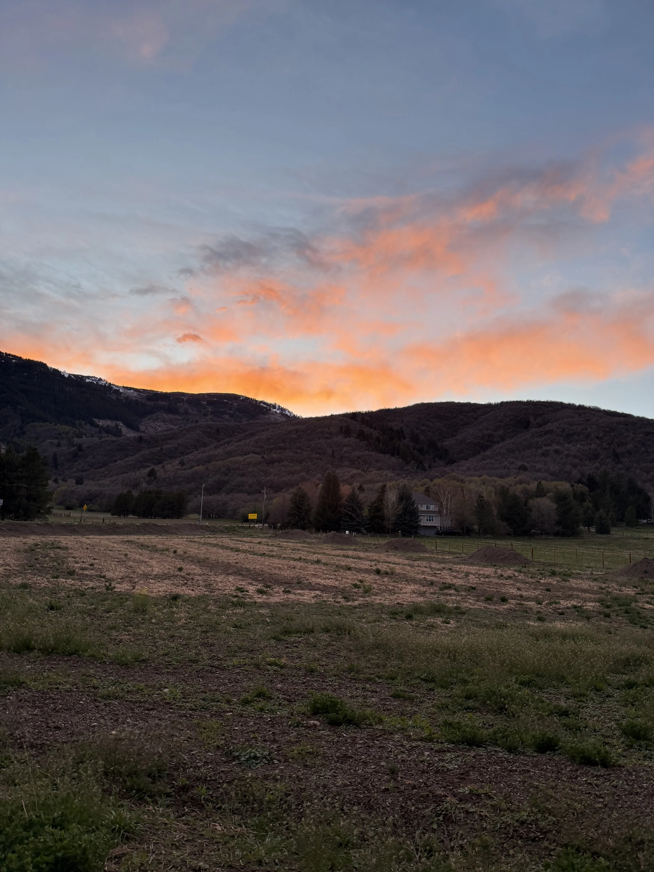 Why Buyers Are Choosing Land in Ogden Valley Instead of Built Homes?