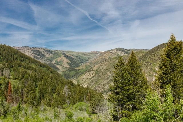 40 Acres of Wild Freedom in Sunridge — No HOA, No Neighbors, No Limits