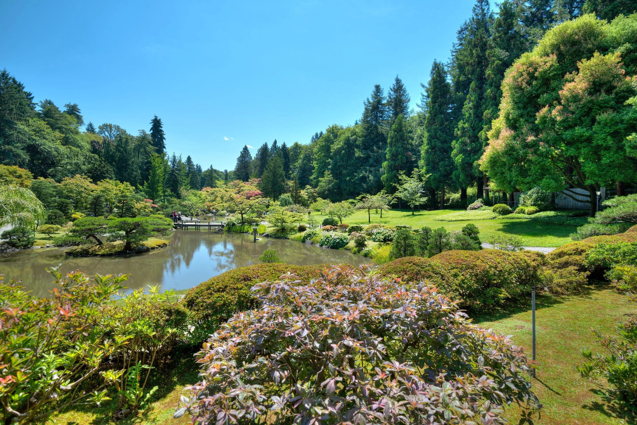 A lush, green park with a pond, surrounded by trees and shrubs, under a clear blue sky.