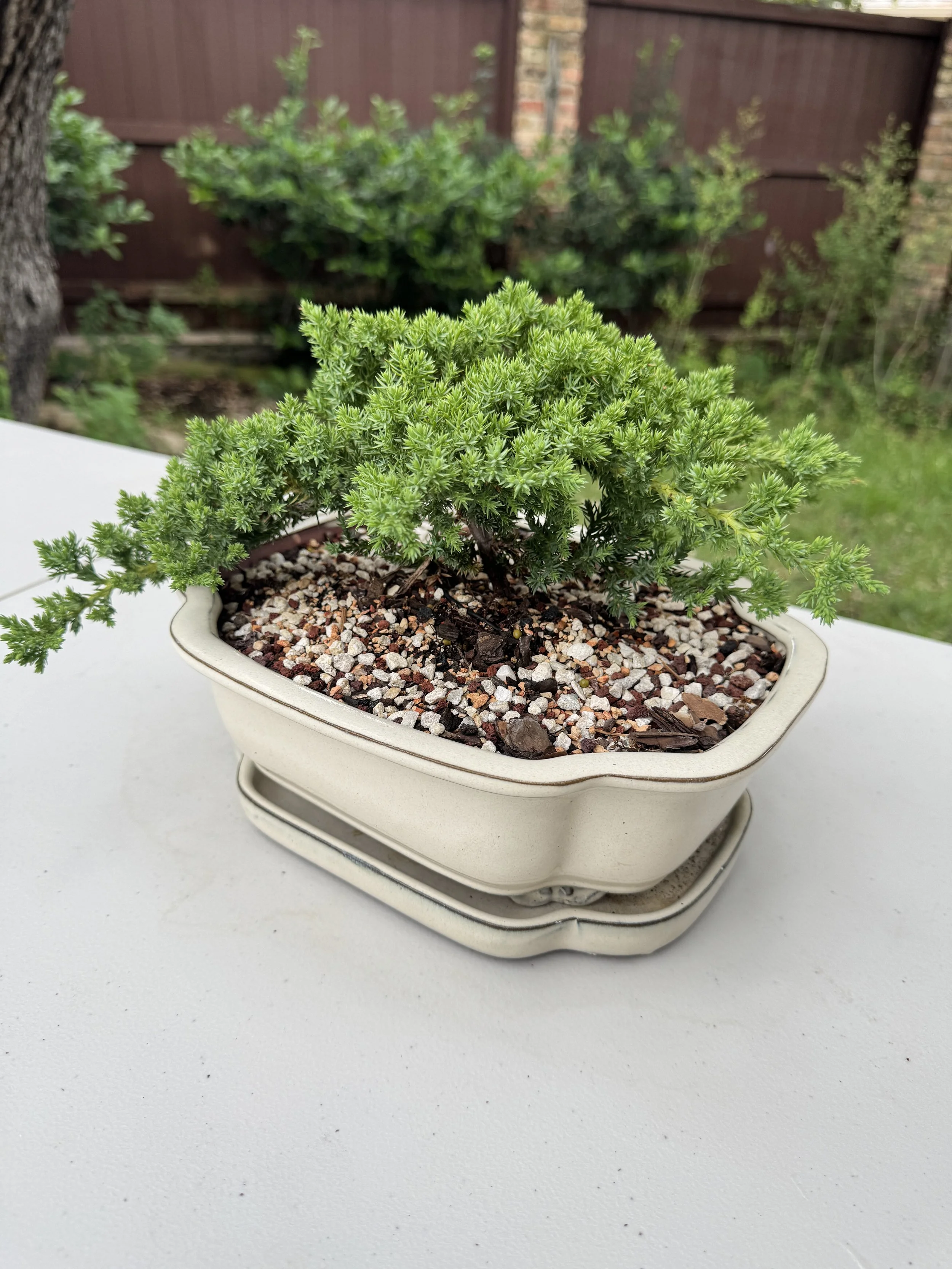 green-mound-5.JPG