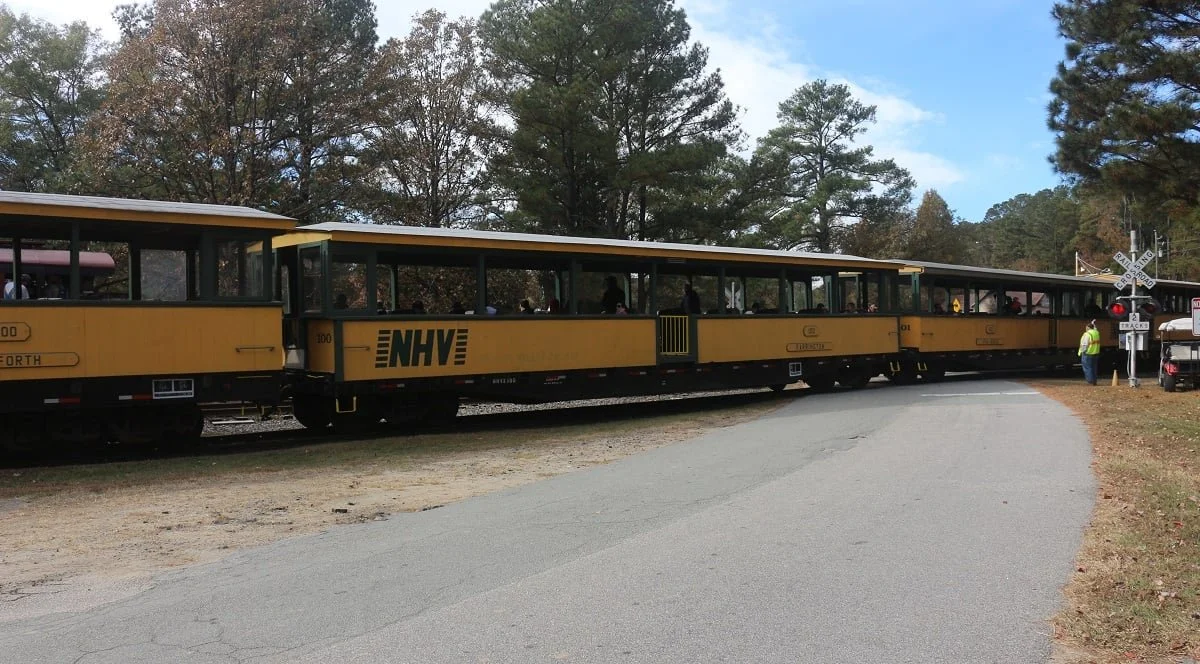 Train Ride - New Hope Valley Railway