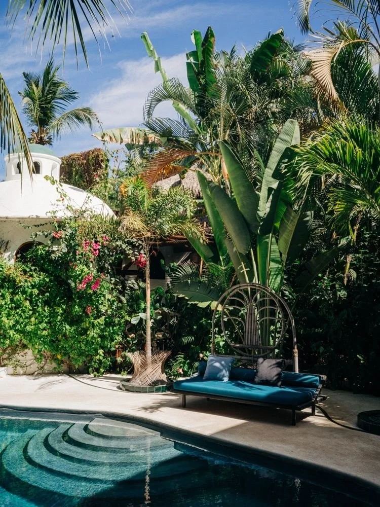 A backyard scene with tropical plants, including large banana leaves and palm trees, a white house with a rounded tower, and a pool with curved steps. There is a daybed with a blue cushion and pillows on a concrete patio.