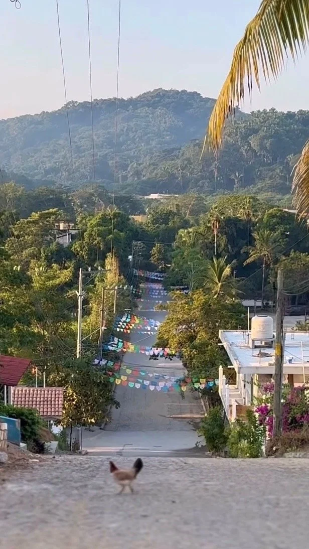 A scenic view of a rural street decorated with colorful banners hanging across the road, surrounded by lush green trees and houses, with a mountain in the background and a small dog on the dirt road in the foreground.