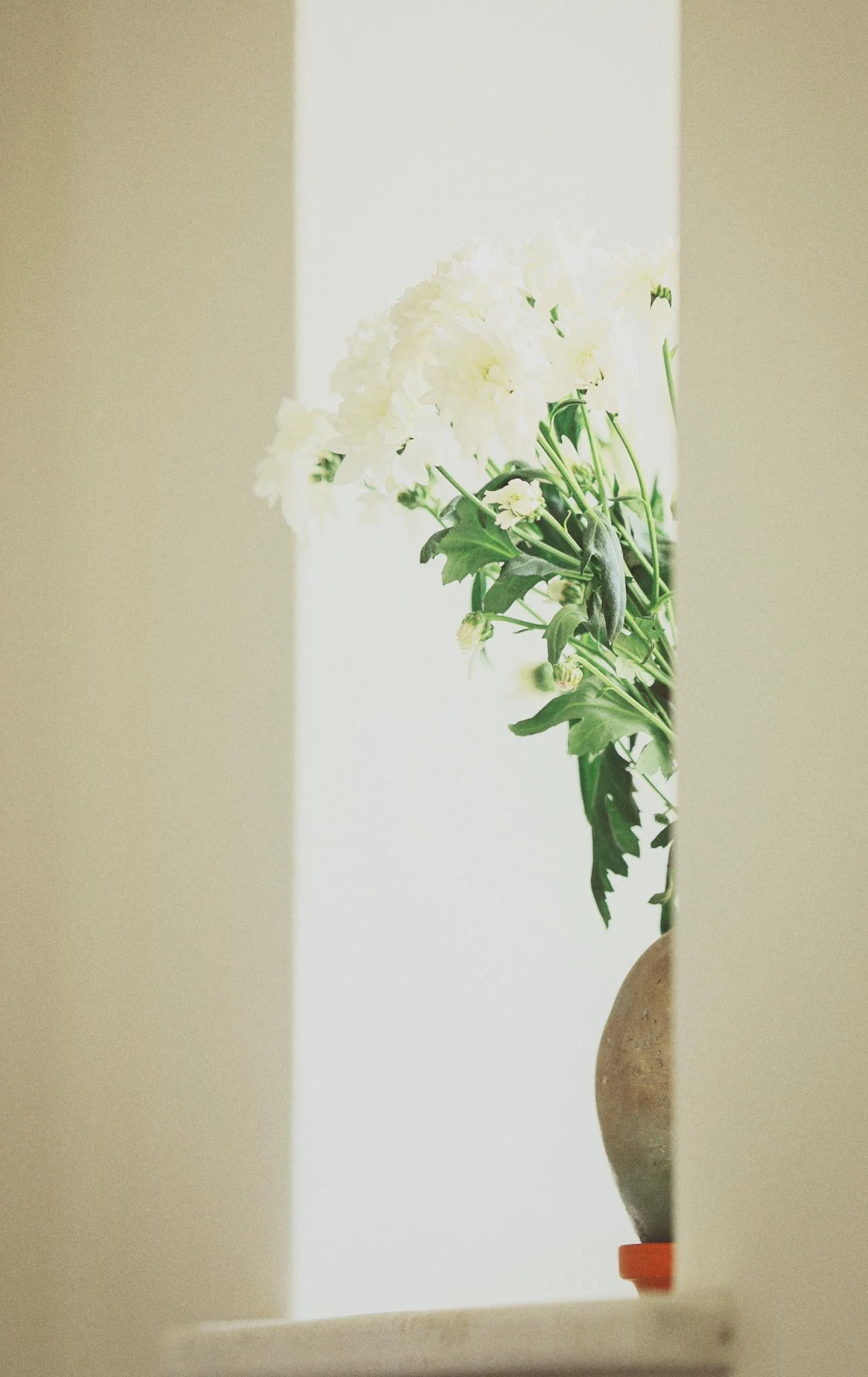 A pottery vase with flowers on a shelf, viewed through a narrow opening between two walls.