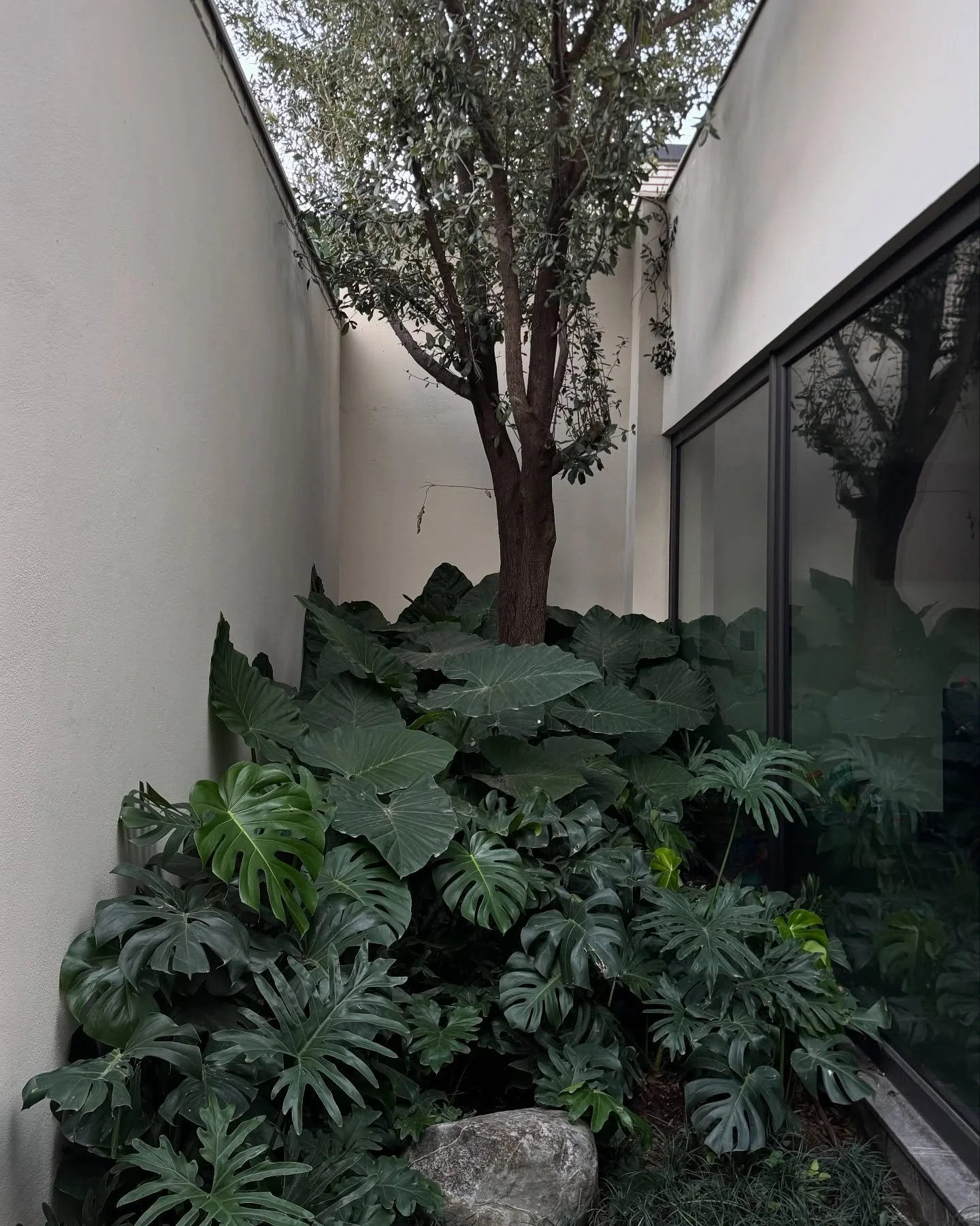 Sierra Verde 991 - Jard&iacute;n interior