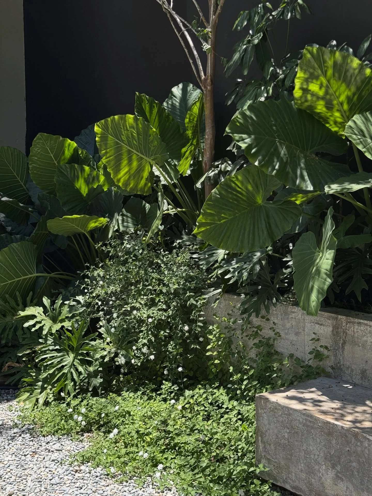 Bellini - Proyecto Residencial