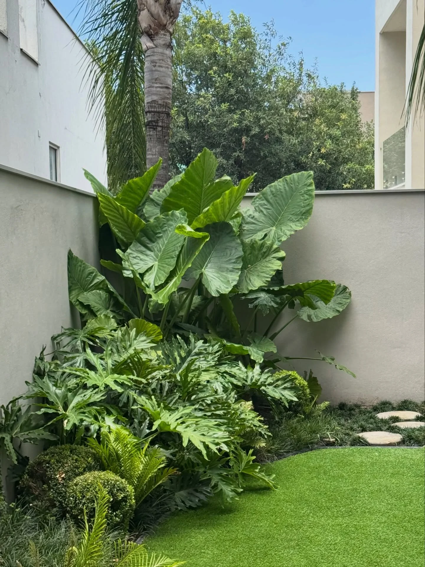 Los Agaves - Proyecto Residencial