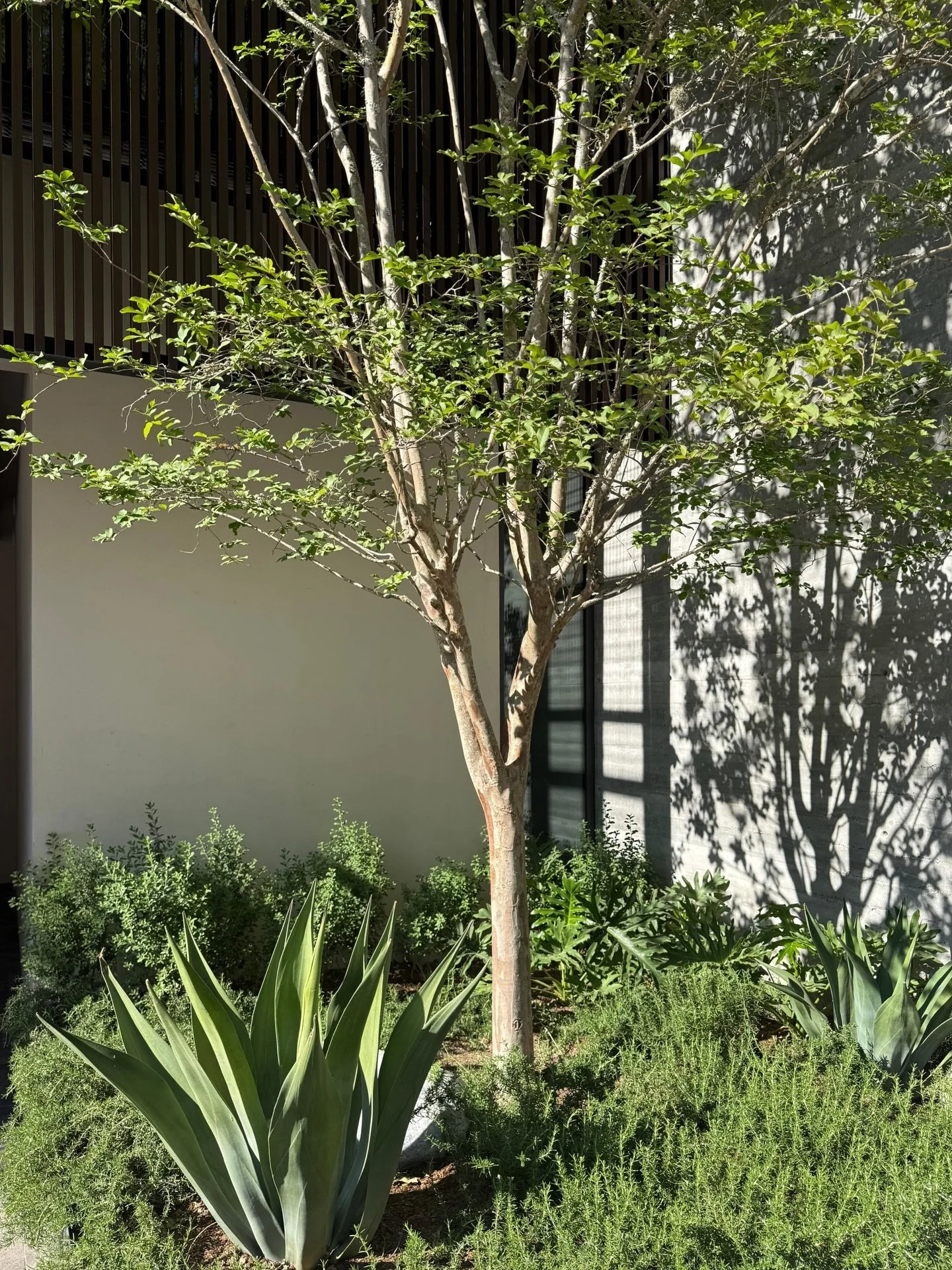 Balcanes - Proyecto residencial