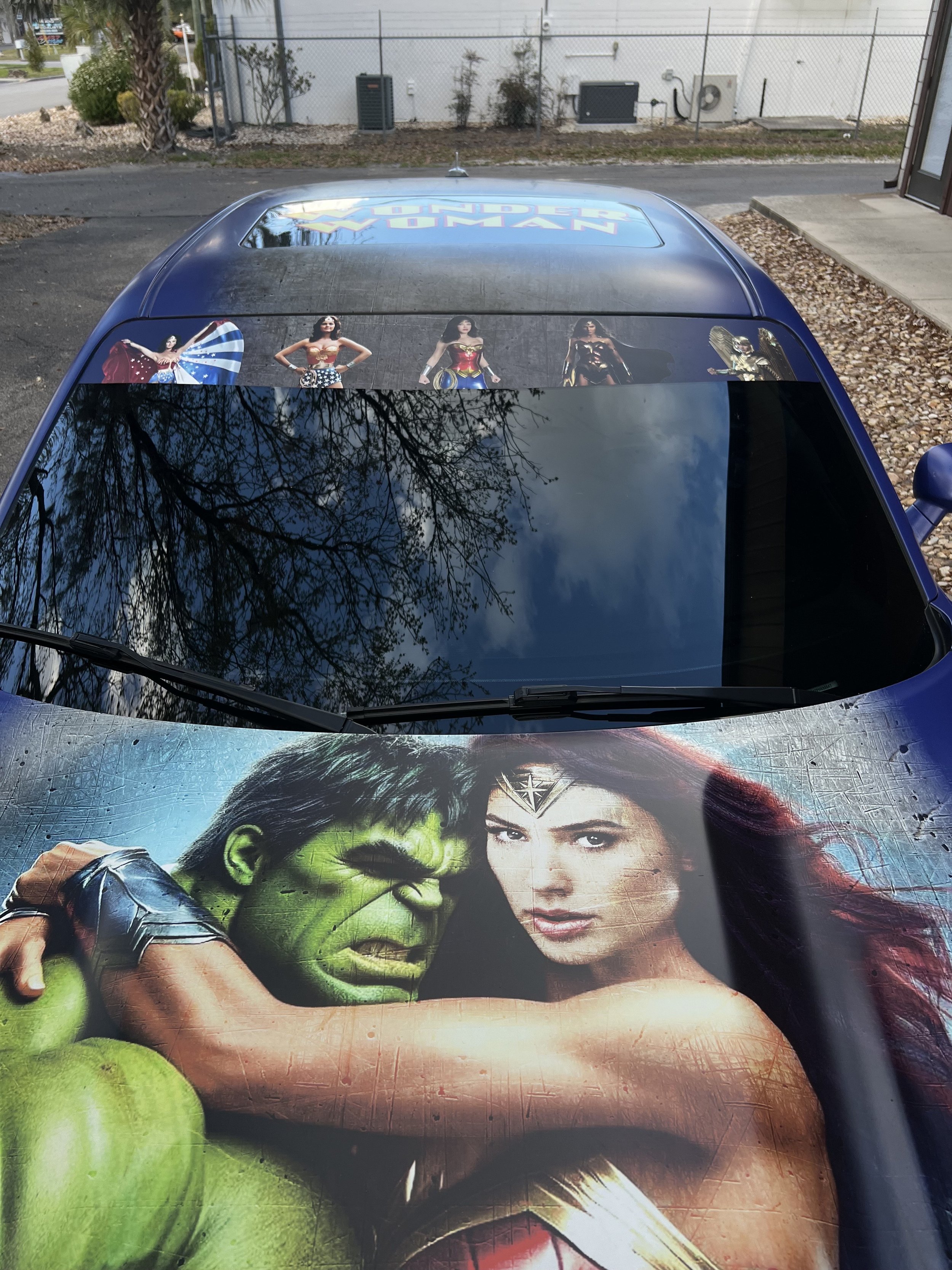 Jenn Ellefson - Sun Visor & Rear Windows - Completed (1).jpeg