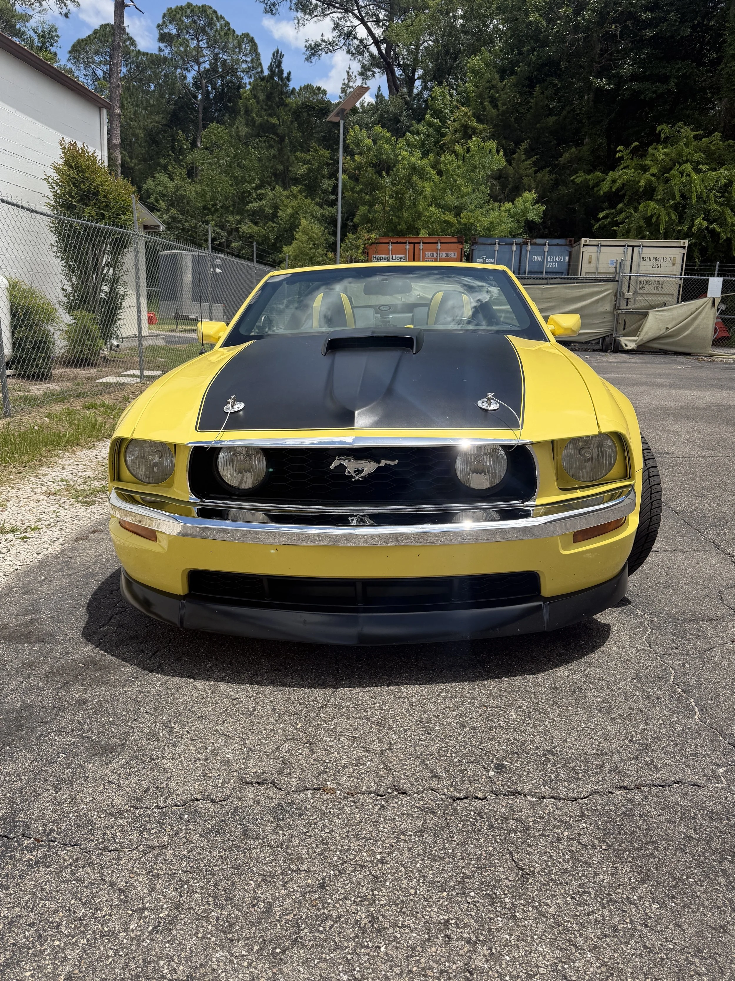 Bob johnson Mustang Bumpers - Completed (2).jpeg