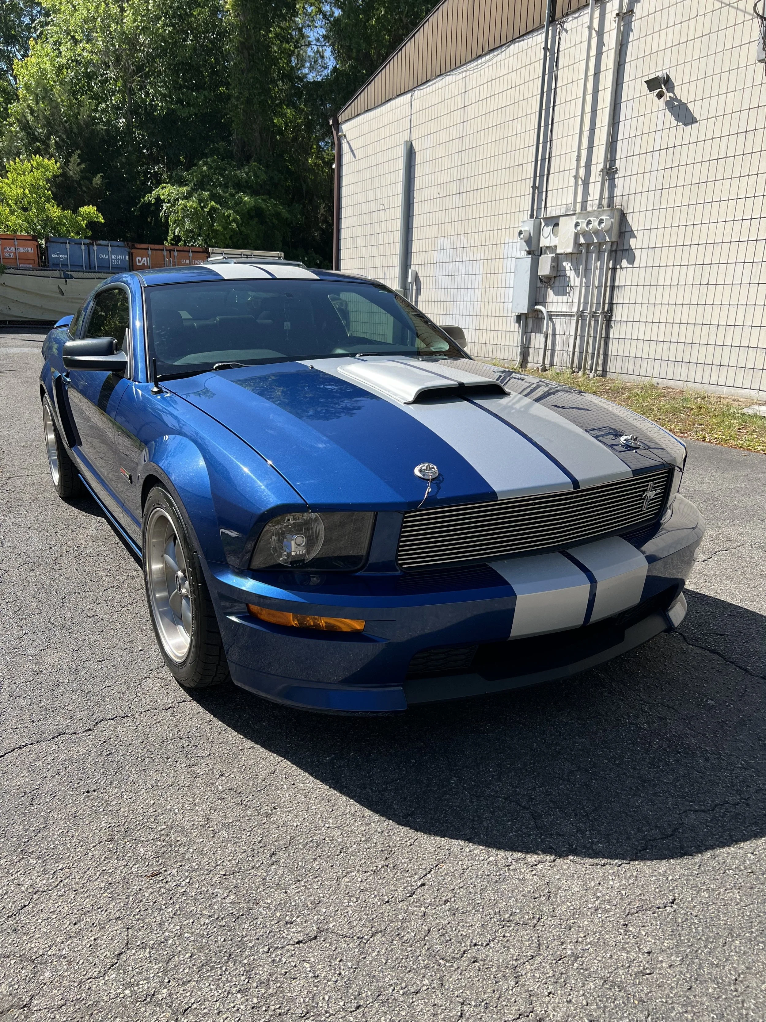 Laura - Mustang Stripes - Completed (2).jpeg