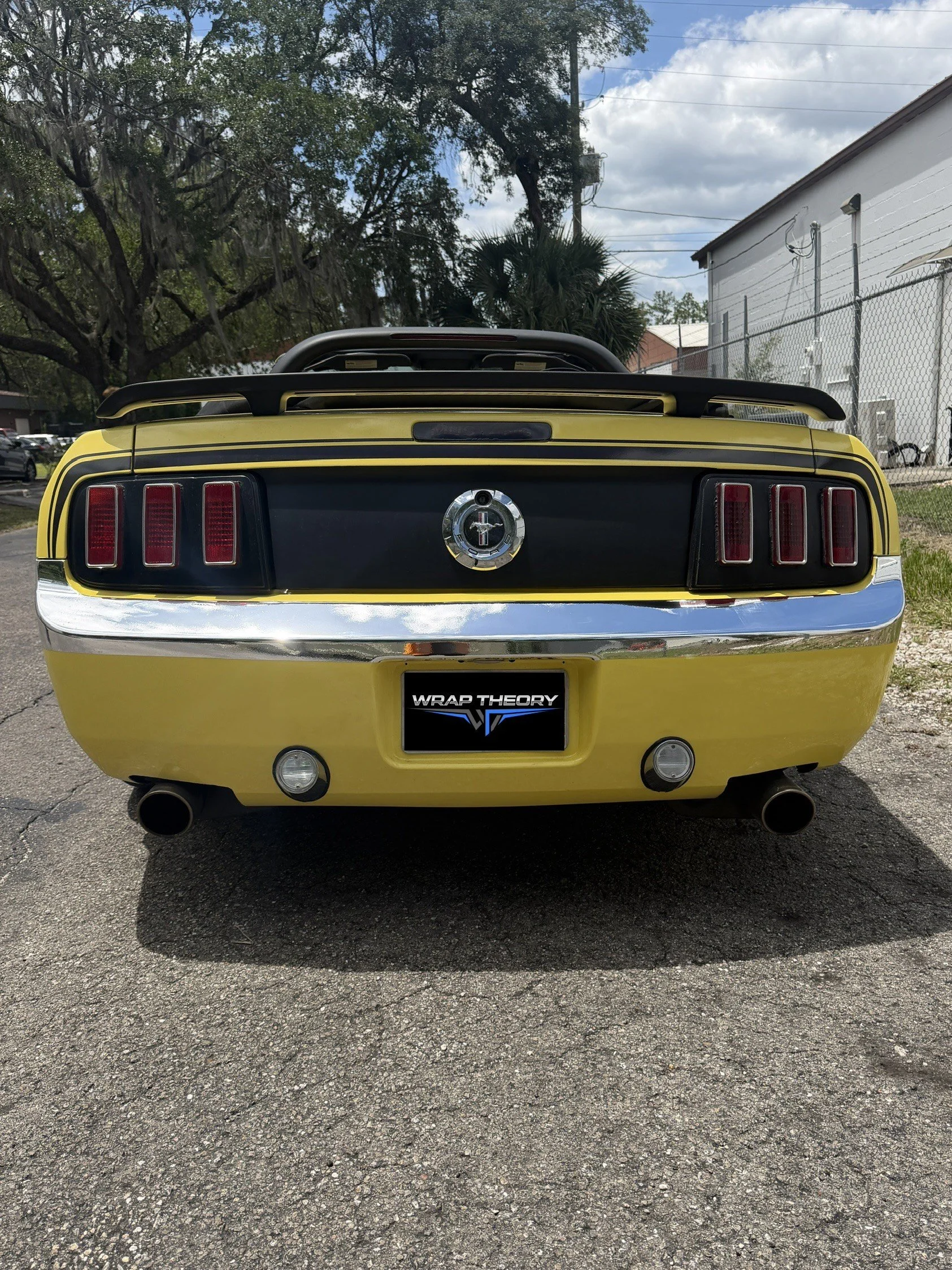 Bob johnson Mustang Bumpers - Completed (4).jpeg