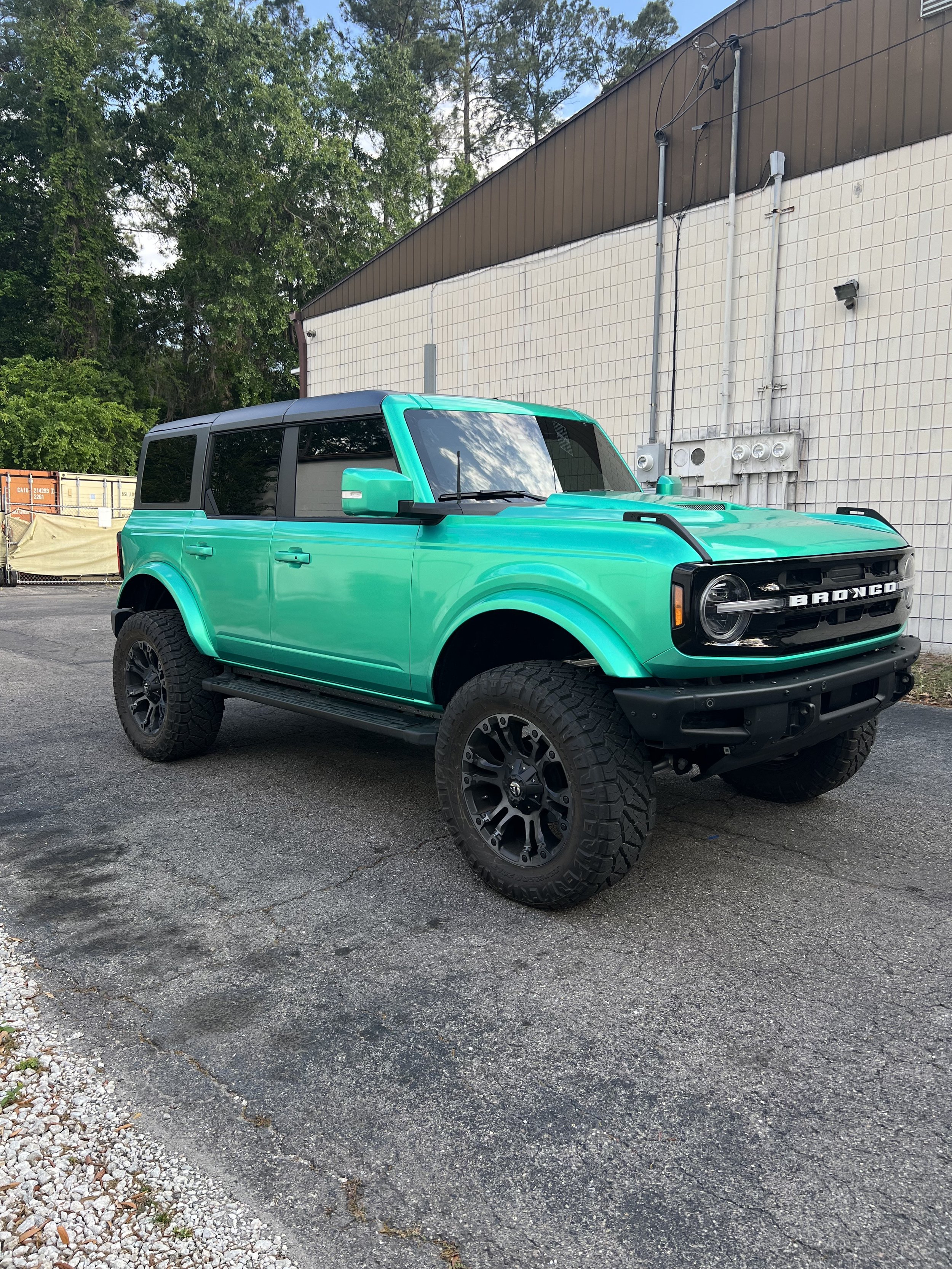 Crystal - Bronco - Completed (1).jpeg