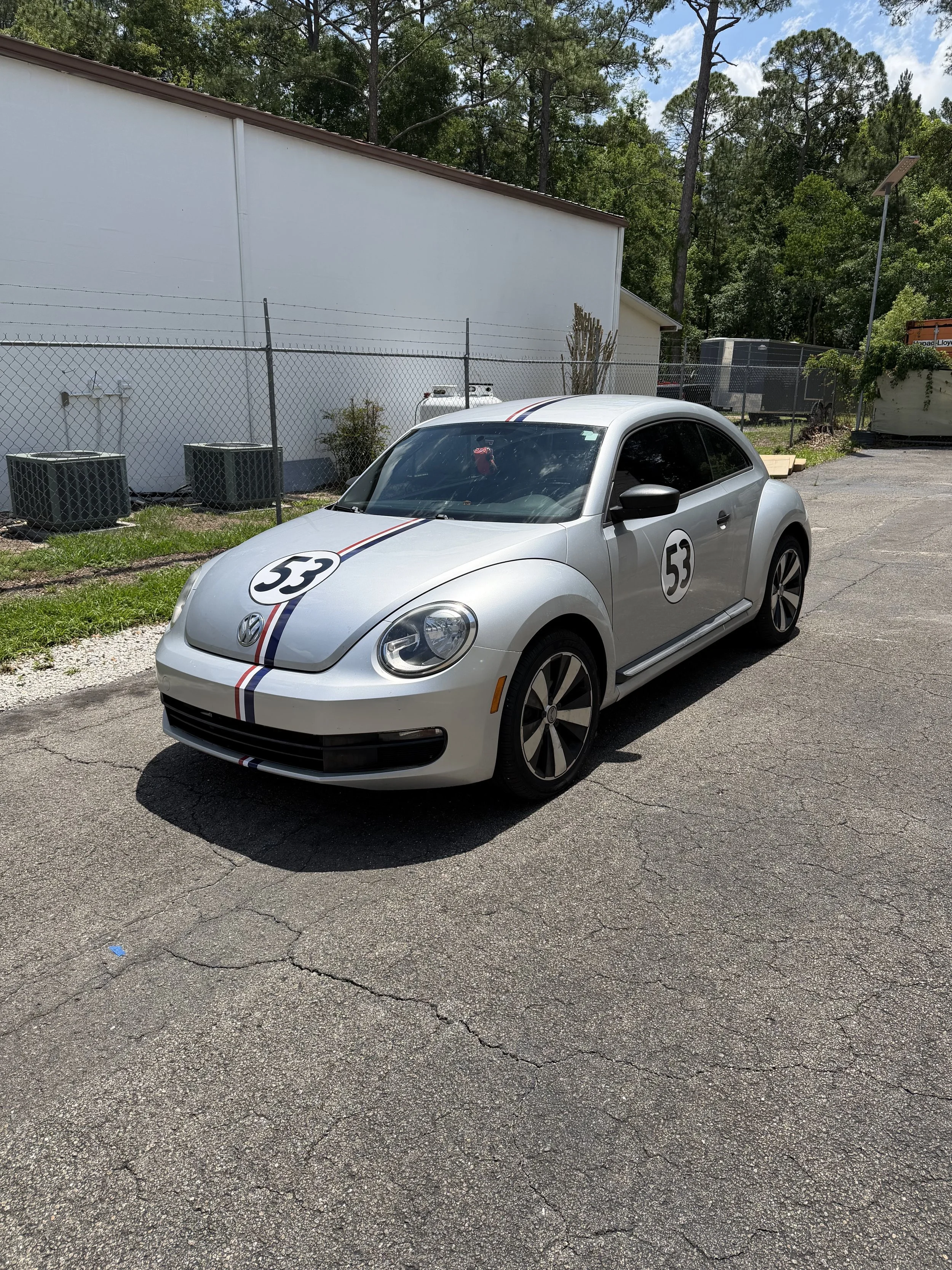 David V - Beetle Completed (3).jpeg