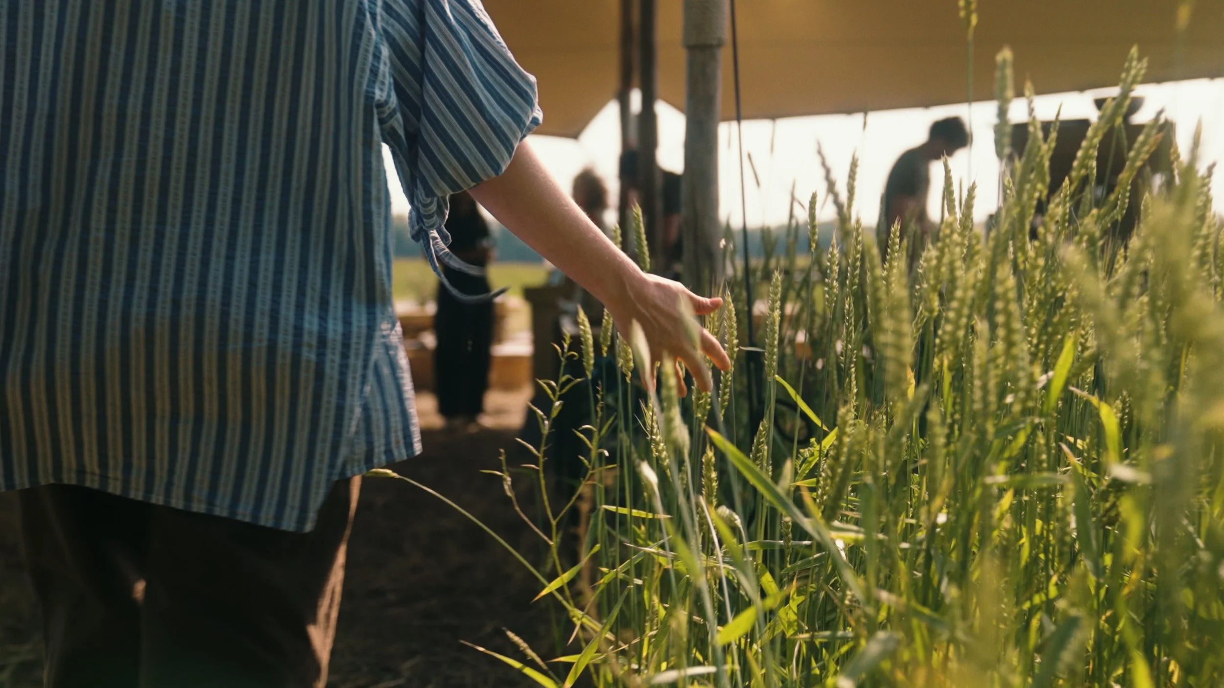 Still ChefParade.jpg