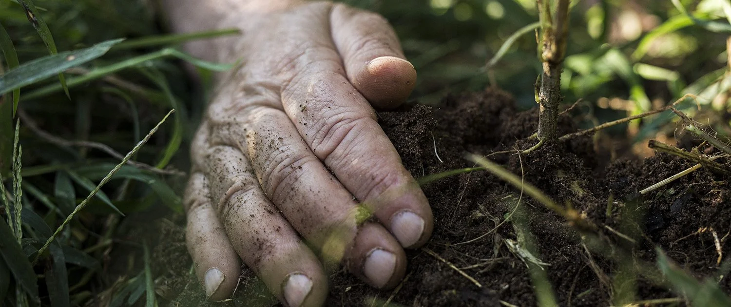 Biodynamics Workshop