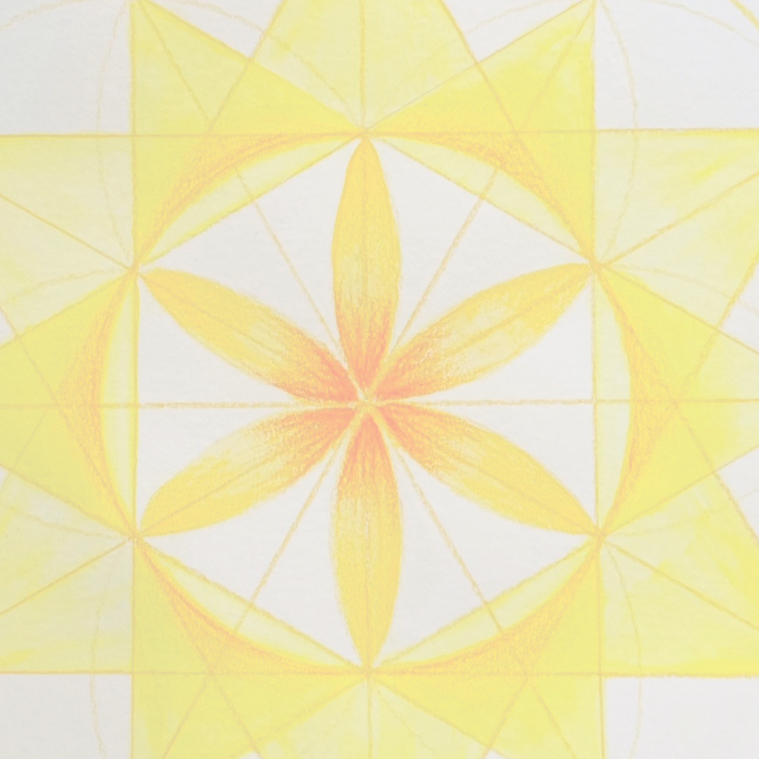 Beginner’s Art Classes