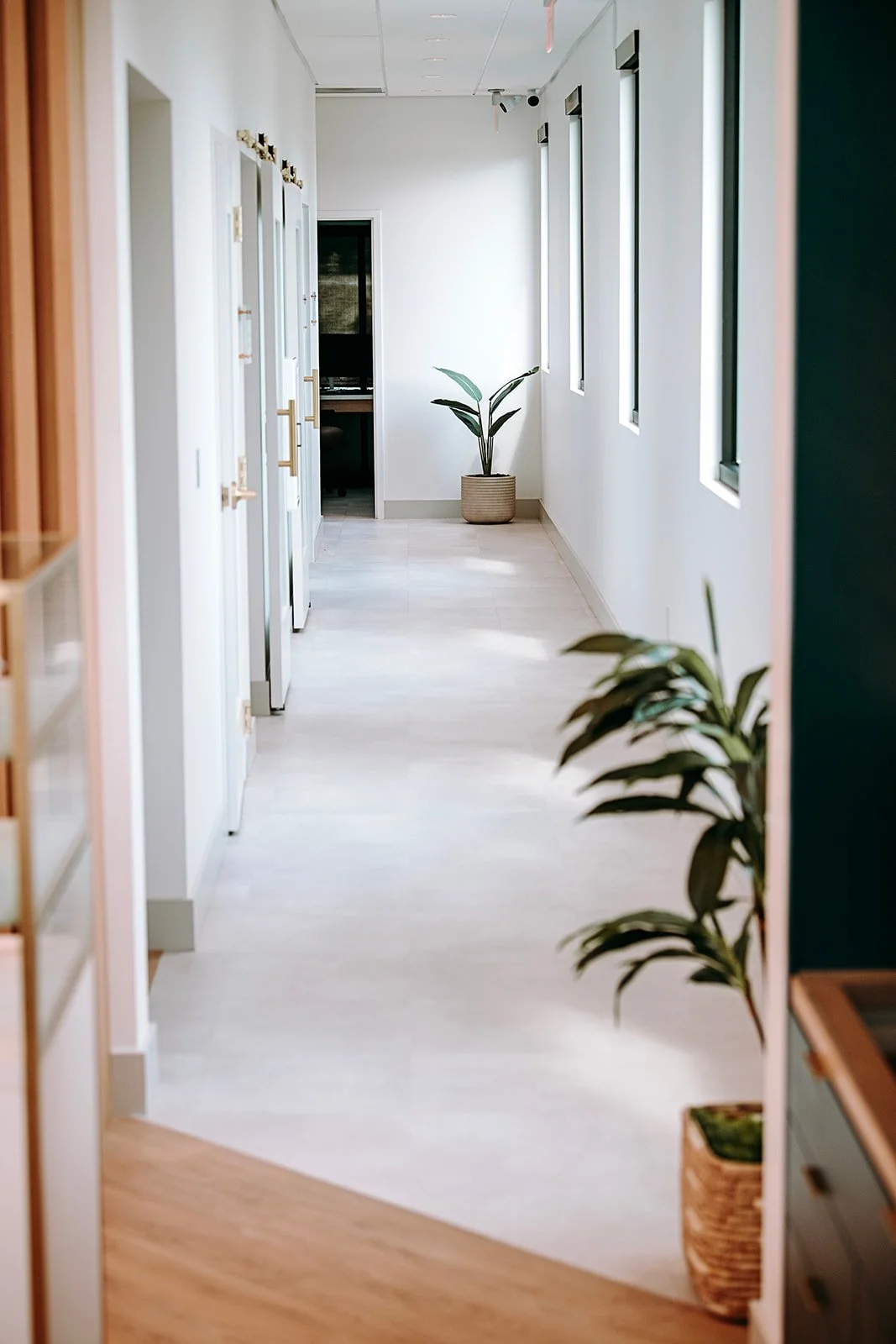 McWilliams-interior-exterior-0039_websize.jpg