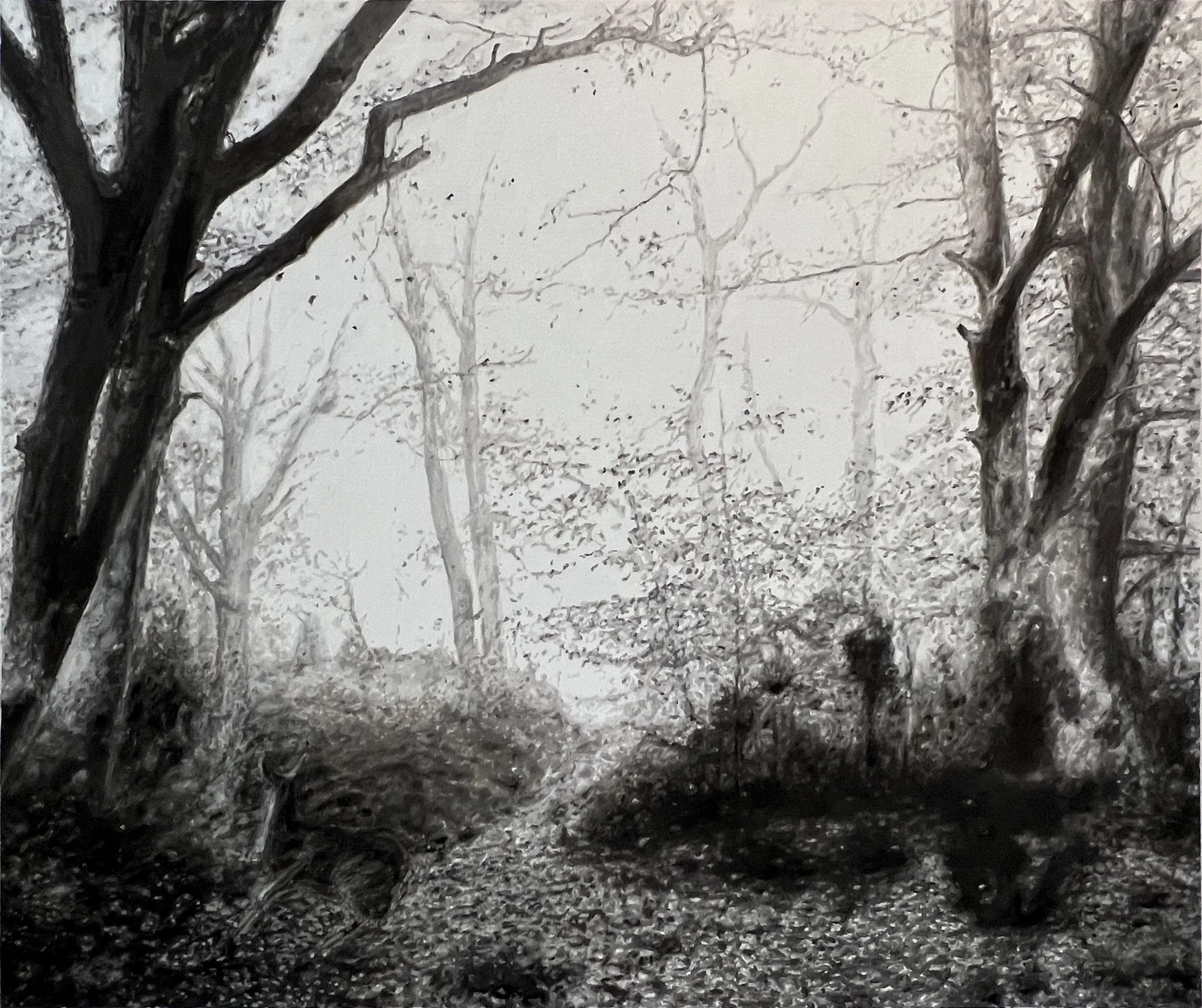 Flash (run, run run, run.01).JPG