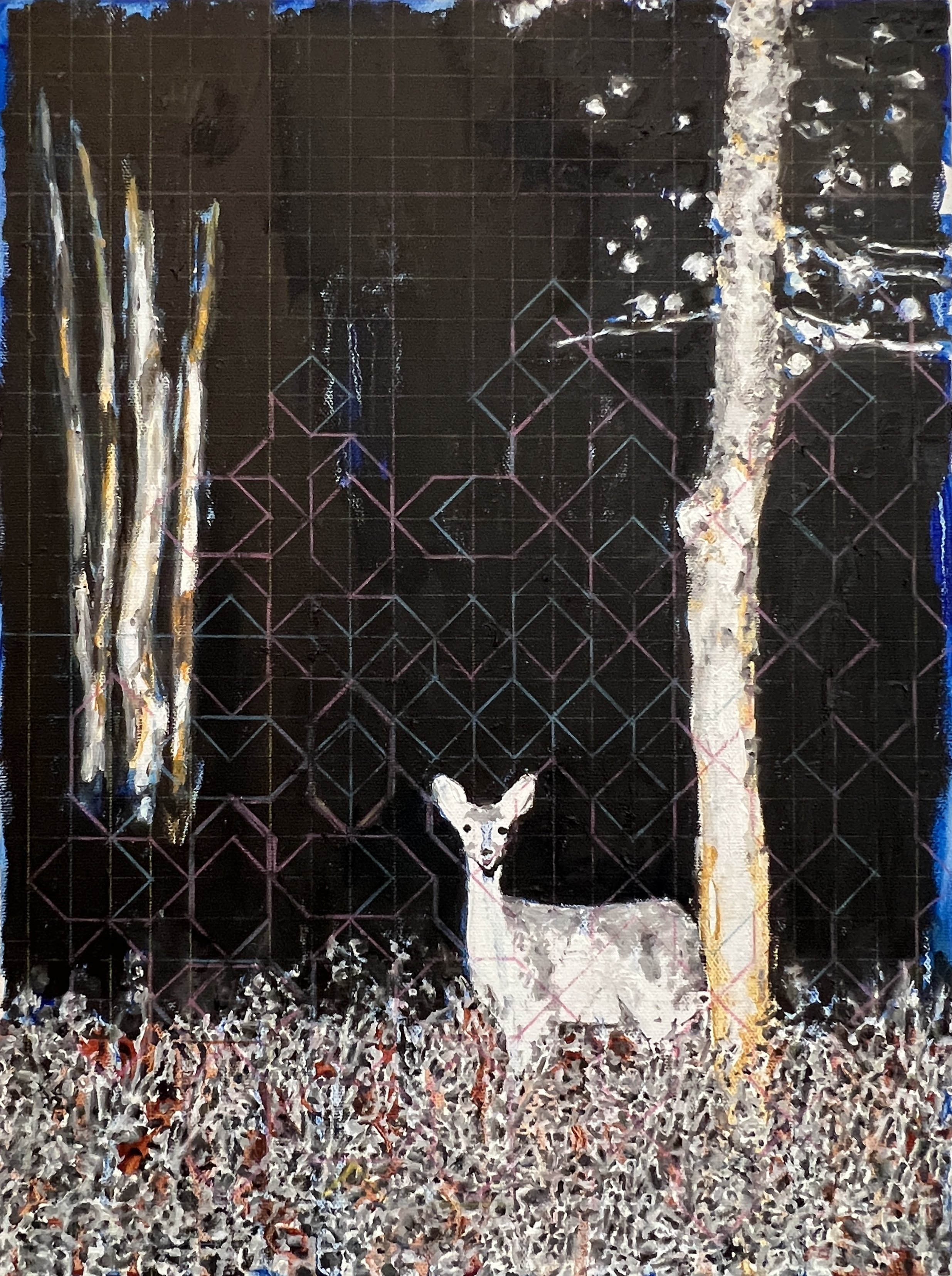 Flash (Silent.02).JPG