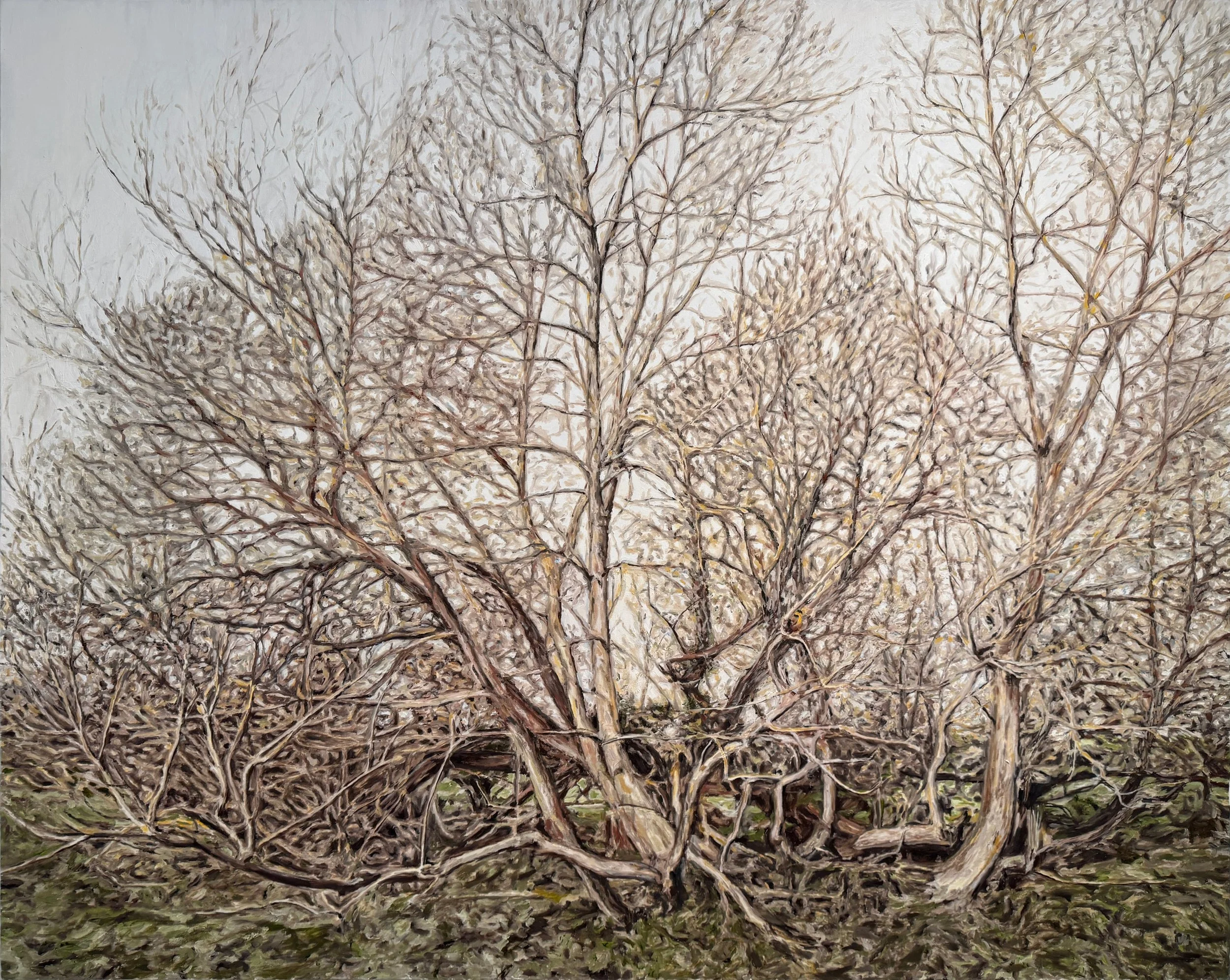 T-00.0_RK (Marlow).jpg