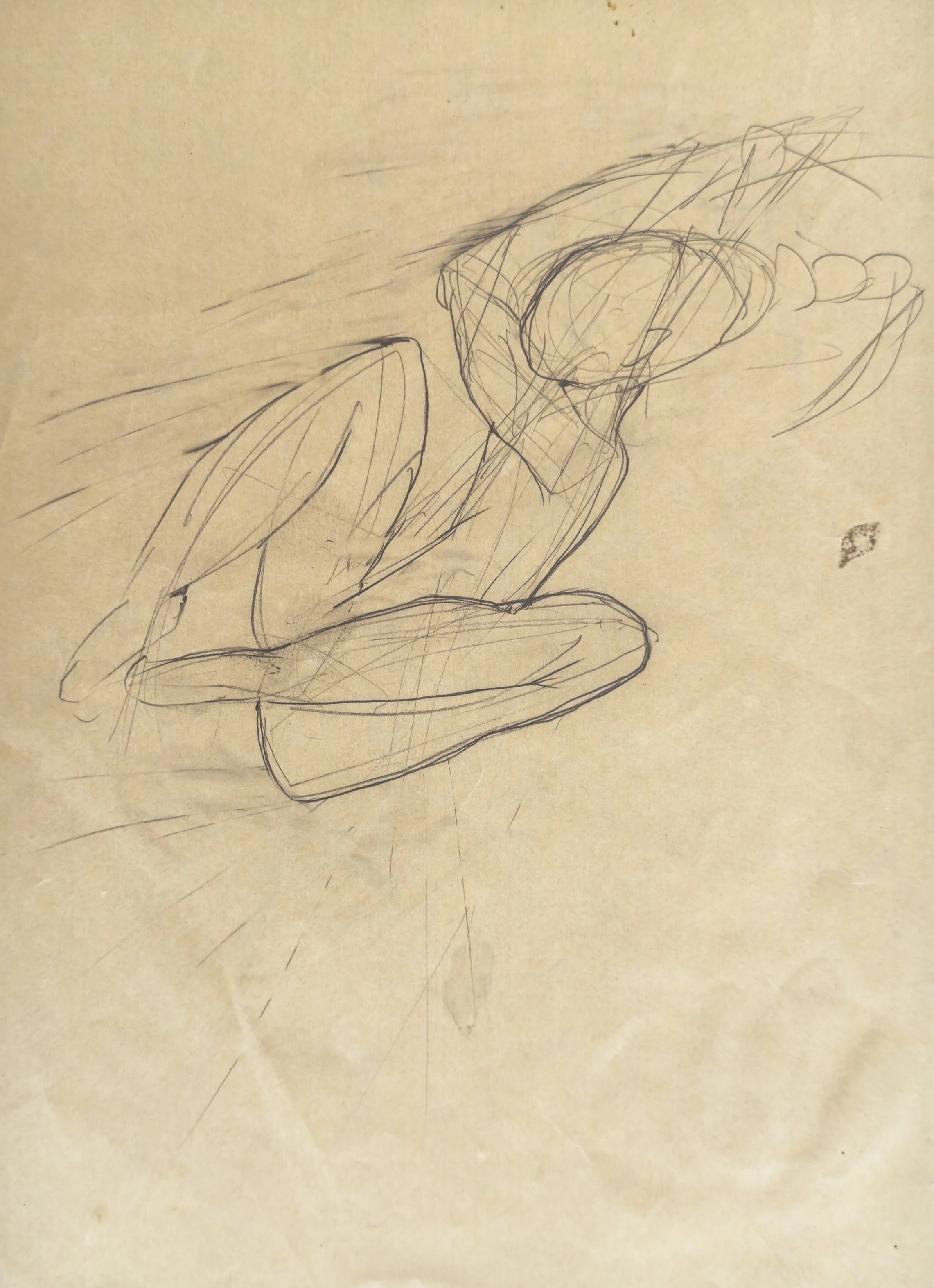 7. Sketch Study on Paper