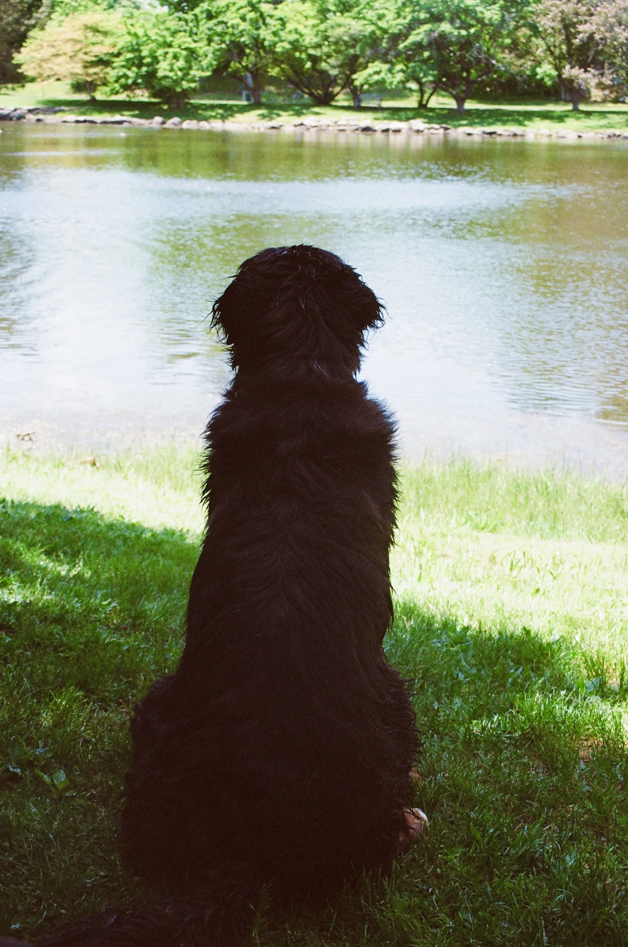 B04B4F24-F431-4A03-9E28-50DCE6A5B23A_1_201_a.jpeg