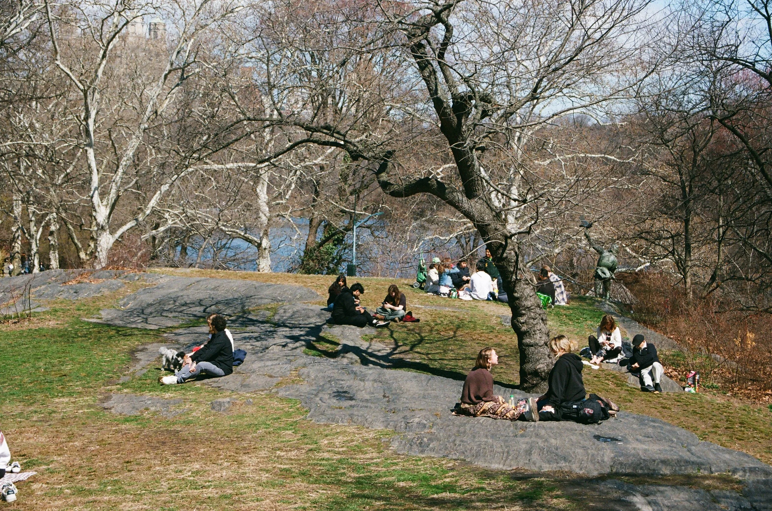 B3C285E4-6CF1-4F40-8064-A4E07F057594.jpeg
