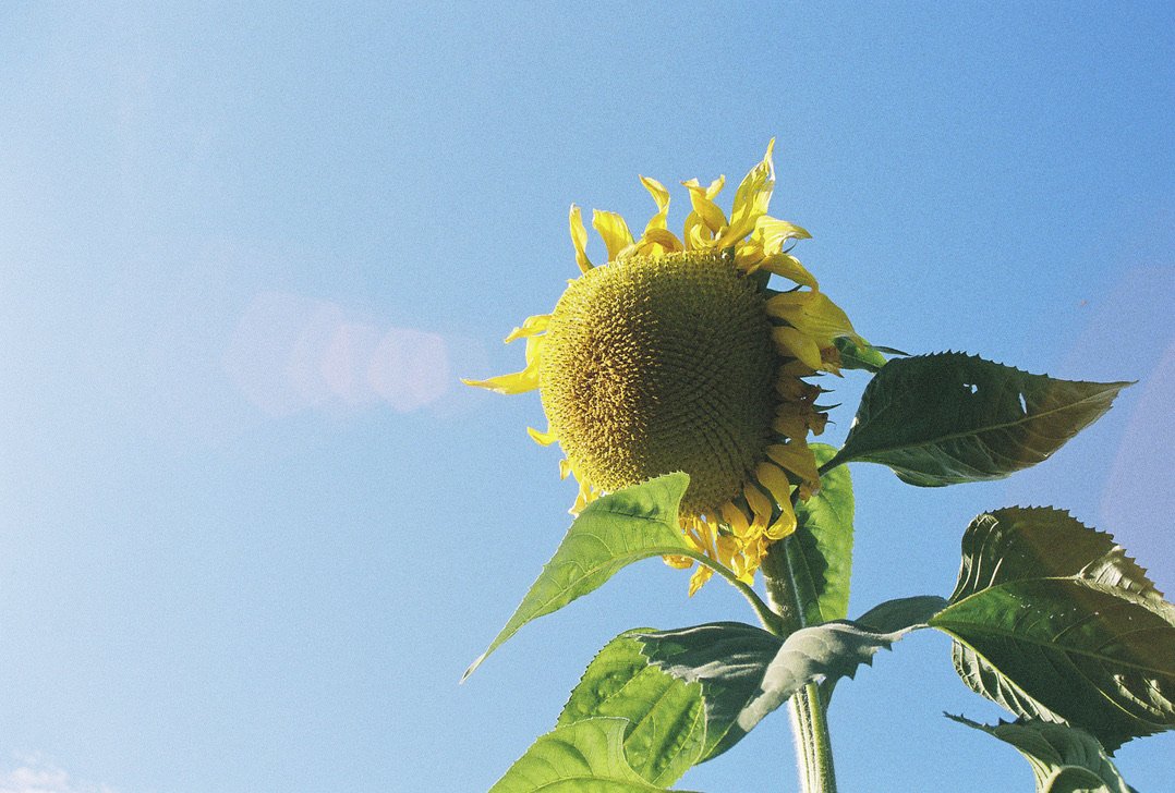 4EB985D9-C1BA-4A69-A6C2-421824B83B63_1_105_c.jpeg