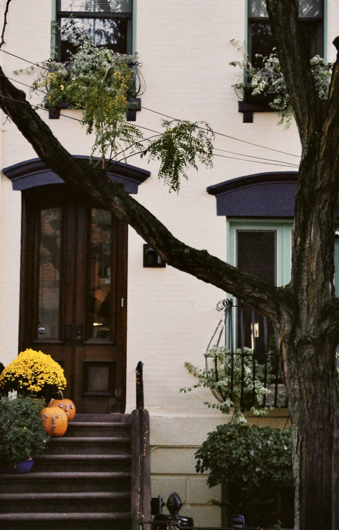 07D40D0A-618F-45E4-A06A-454728920DB4_1_201_a.jpeg