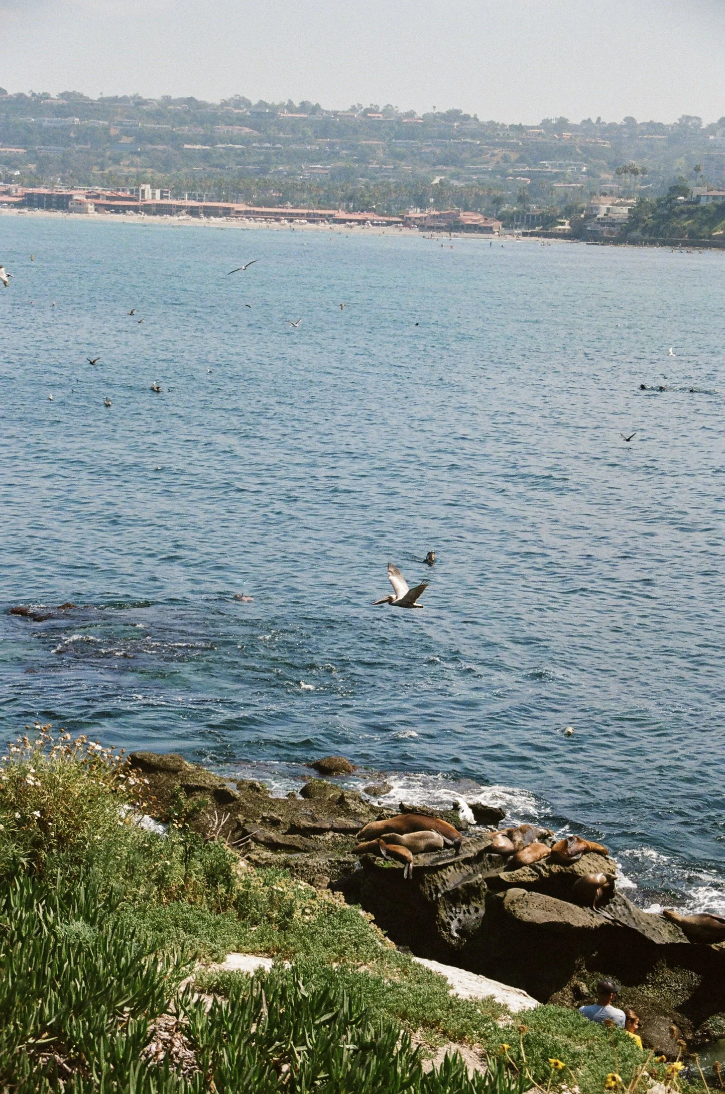 CA2BAD20-A796-4898-B284-26989A9408F5_1_102_o.jpeg