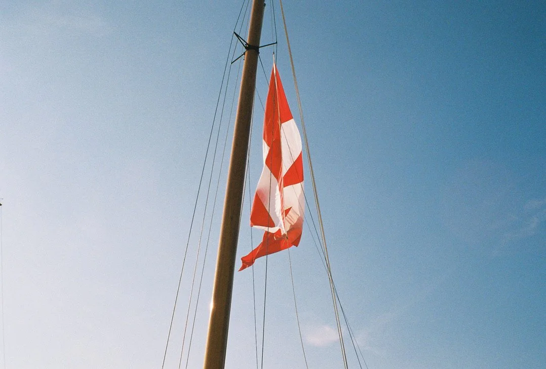 0522D2A1-53A6-4D10-B3A5-DBD9C372AA71_1_105_c.jpeg