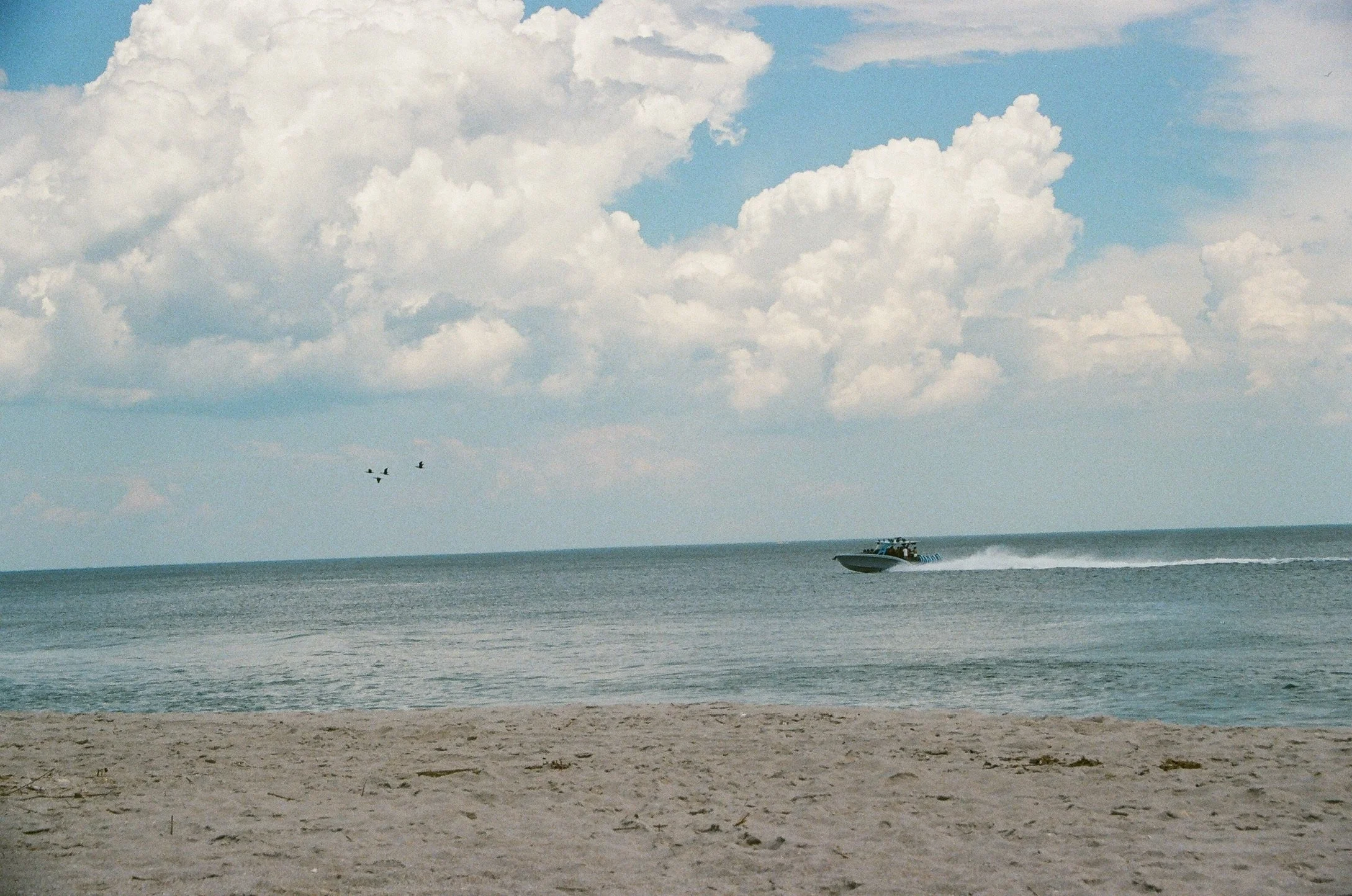 85551E72-263E-4DB1-A671-81F6D2AA9F46_1_102_o.jpeg