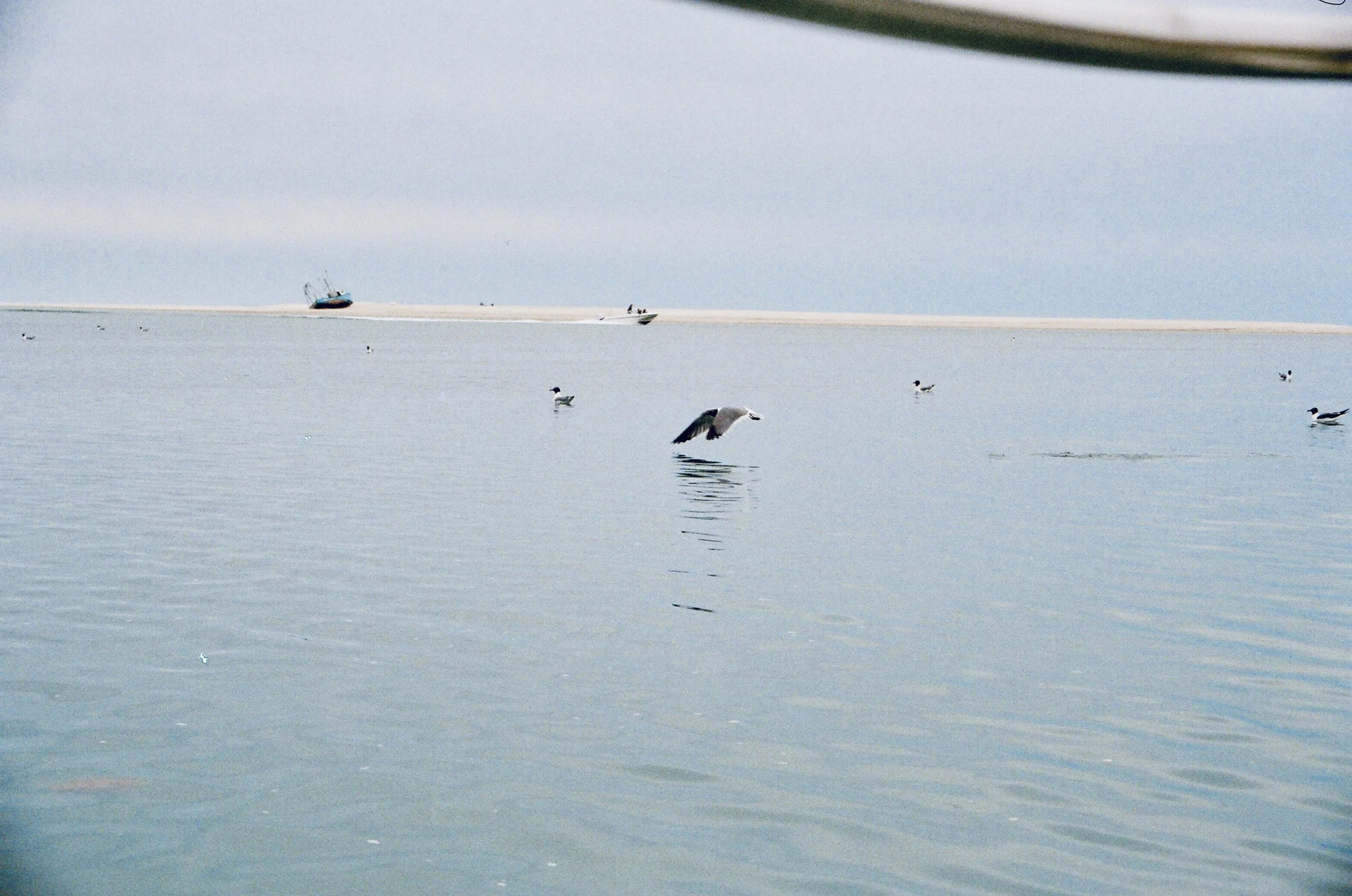 0B93503B-E3B1-4D77-8226-E4A34F781146_1_201_a.jpeg