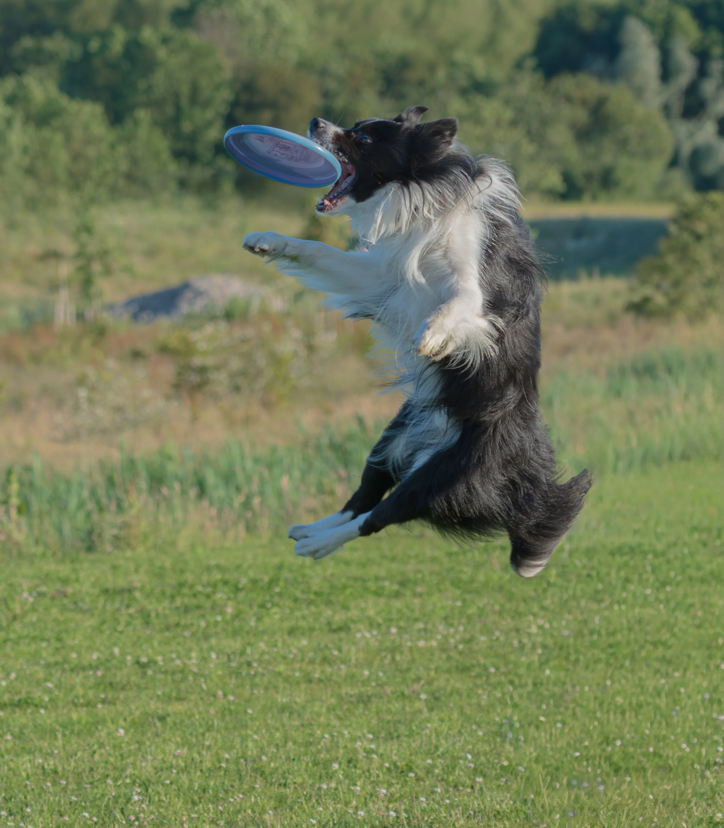 FOX_8753.jpg