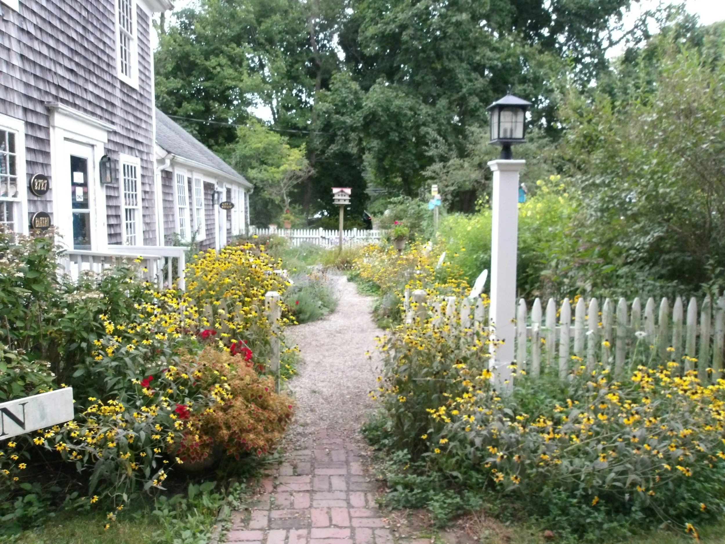 A gravel garden pathway flanked by a garden border of yellow and red flowers, white picket fences, and a gray shingle house to the left, with a lantern post and lush green trees in the background.
