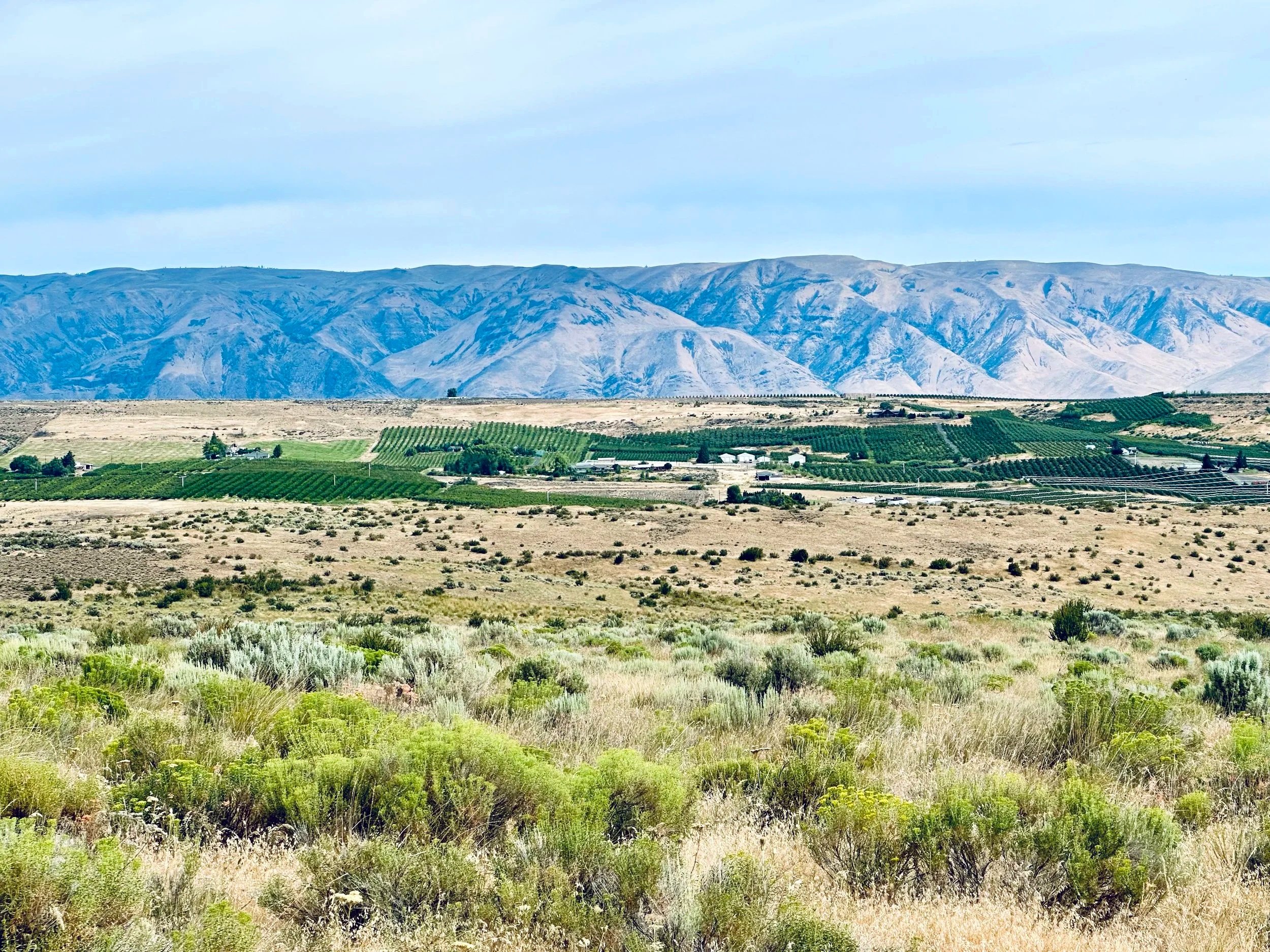 Yakima Valley landscape with green agricultural fields and hills in the background under partly cloudy sky.