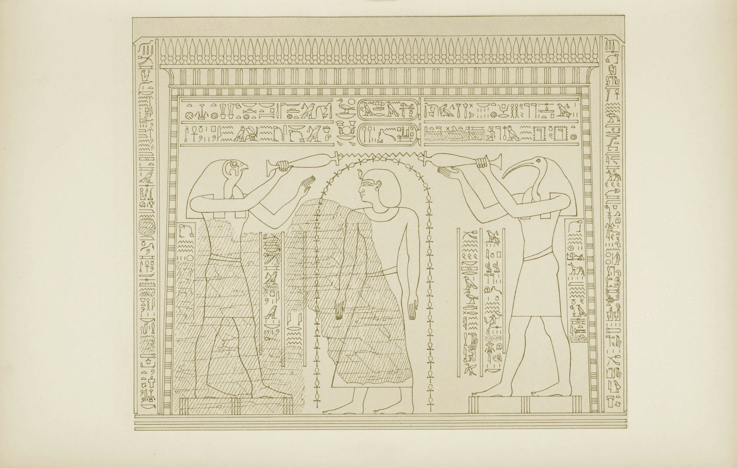 Where Sex Created the Cosmos