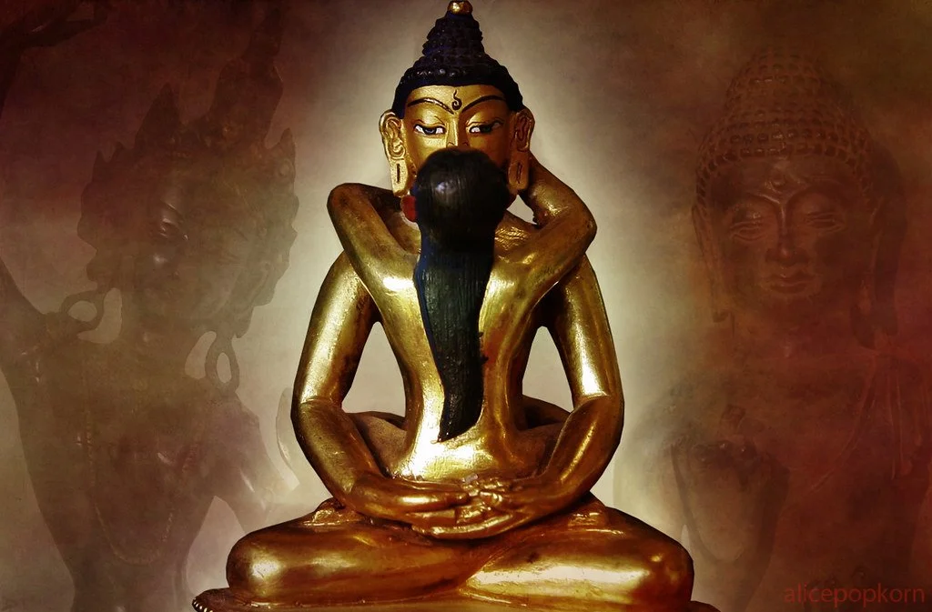 The Path They Didn't Want You to Find