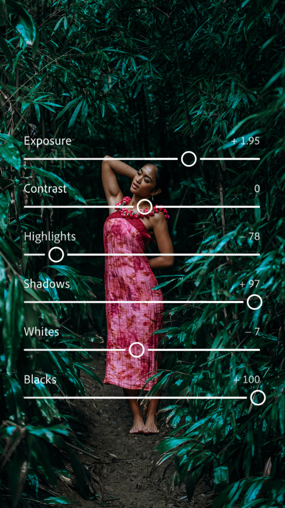 Instagram Stories (1).png