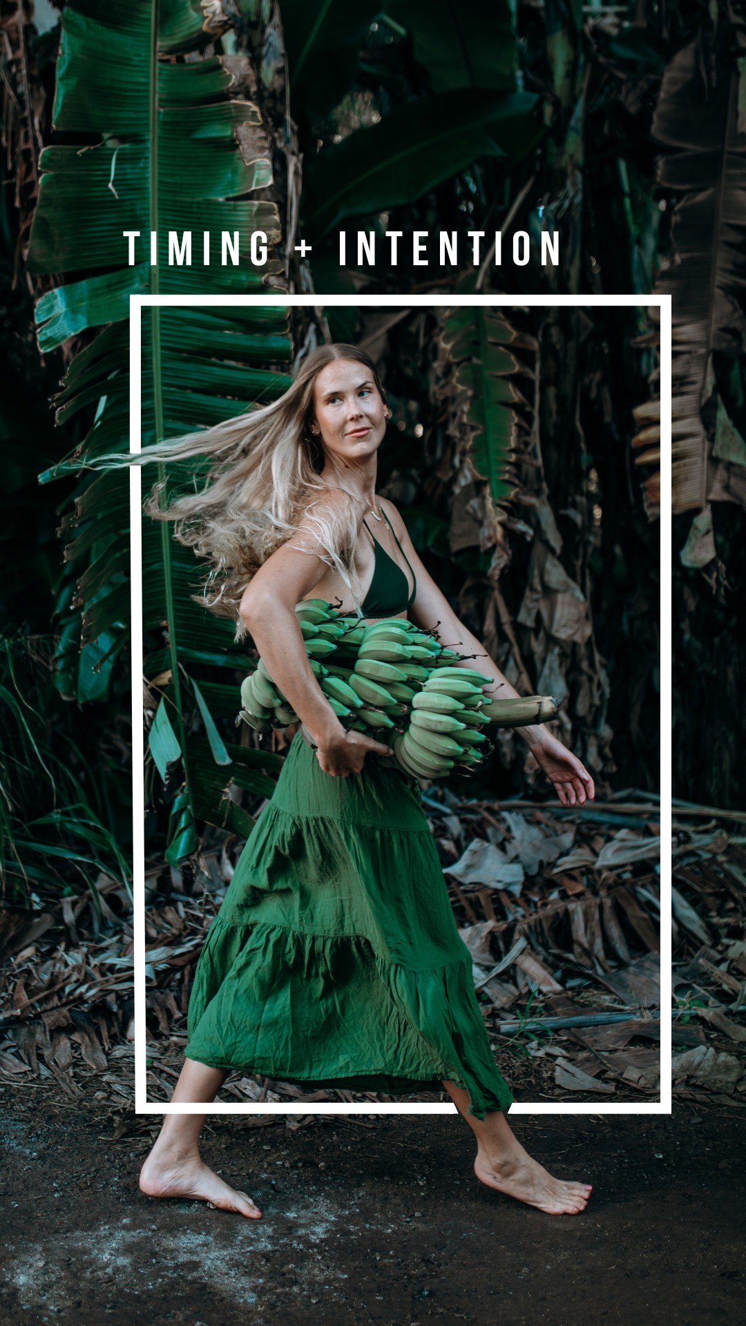 Instagram Stories.png