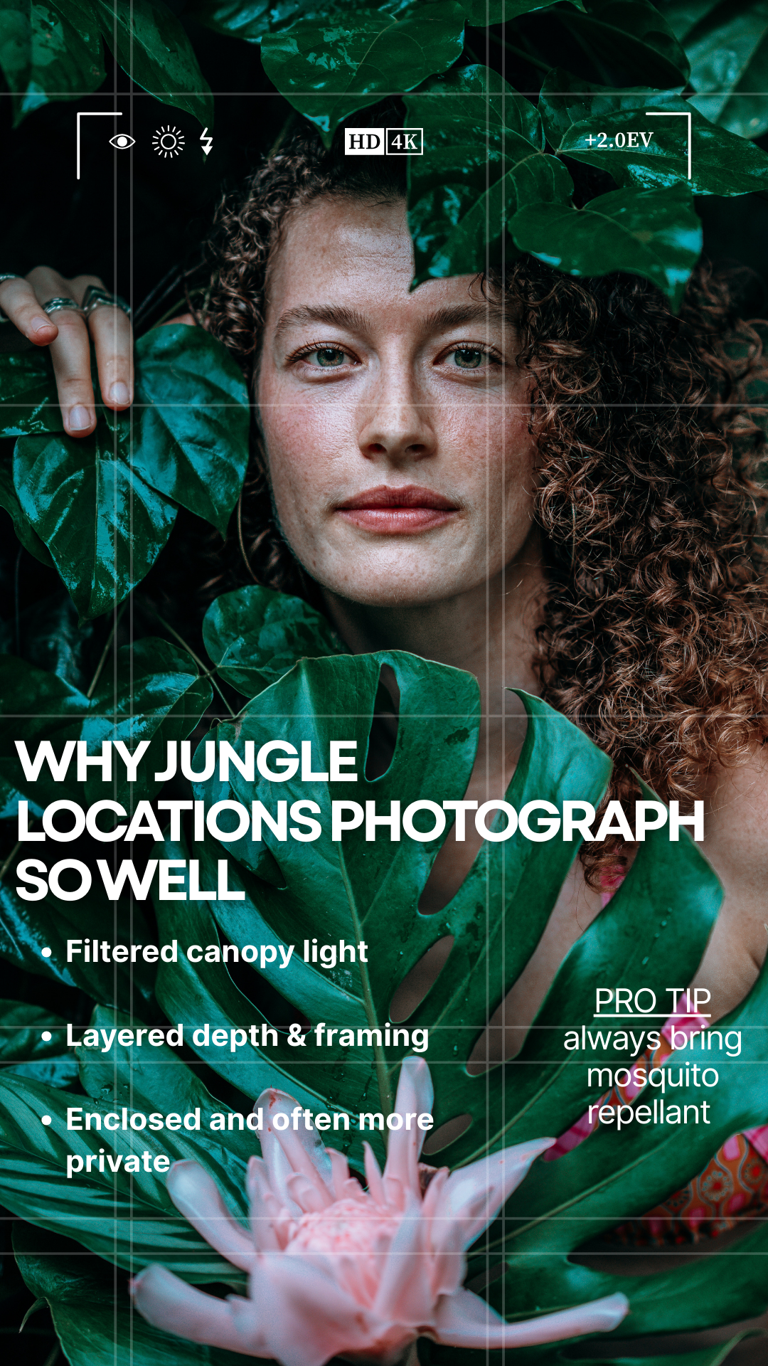 Portrait Photography Tips: Lighting, Posing, and Composition in Tropical Locations