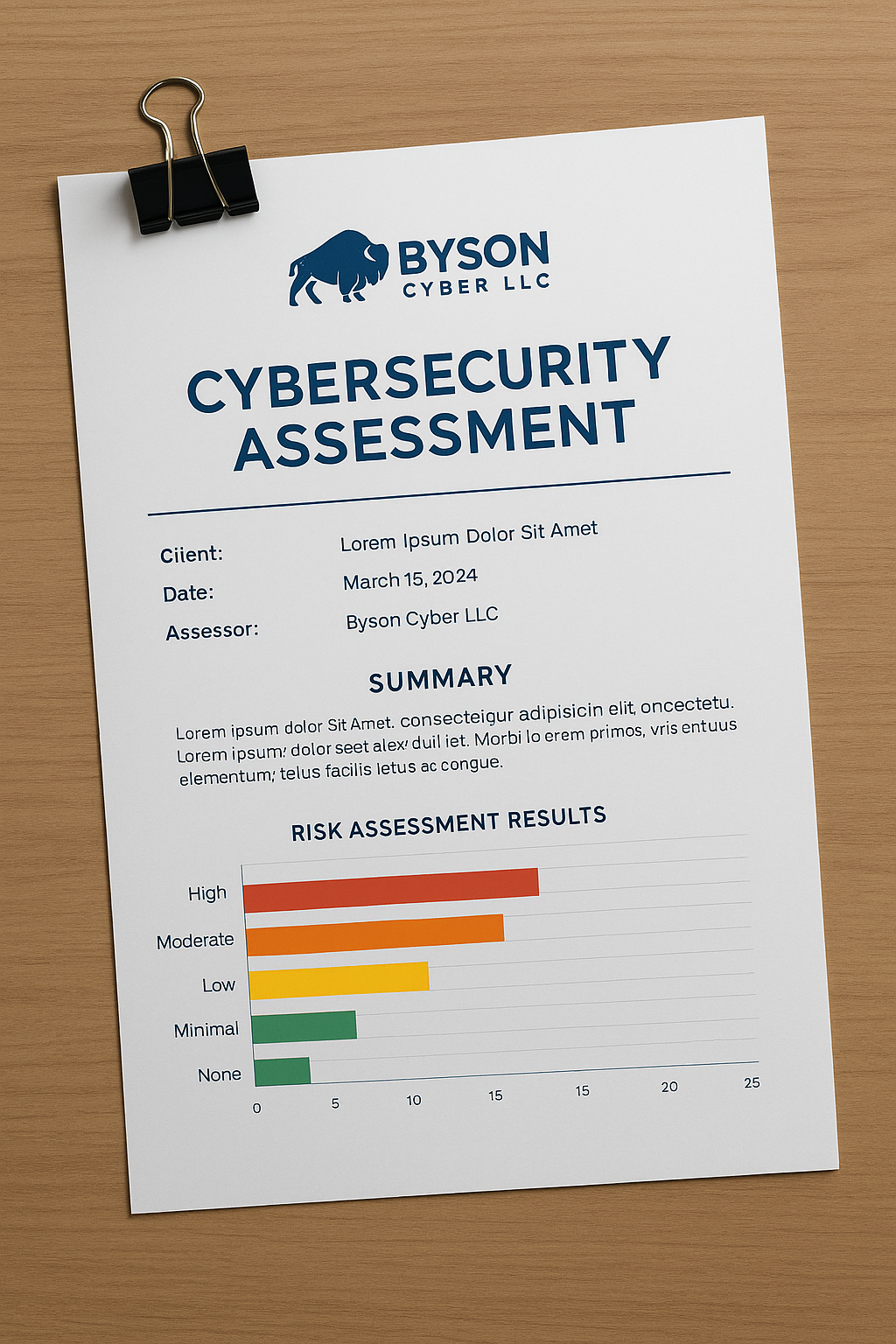 Cybersecurity assessment report imagery with bison branding