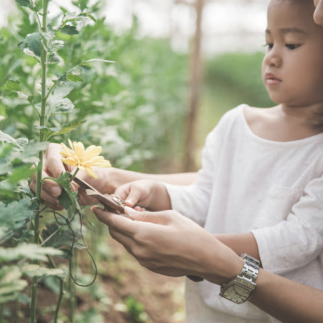 Immersion: Pequeños Floristas
