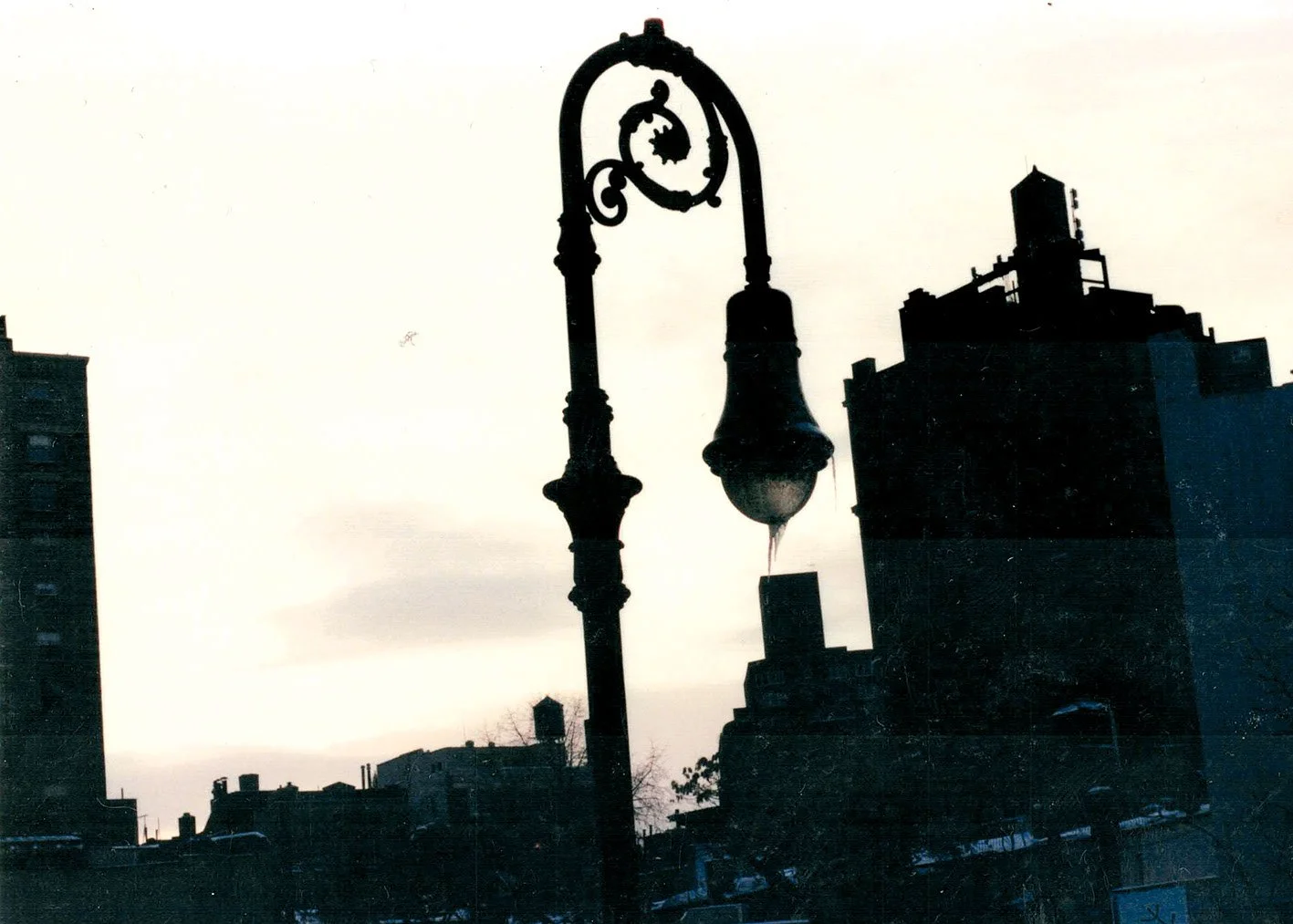 19_BRNB42200DA12360877 copy.jpg