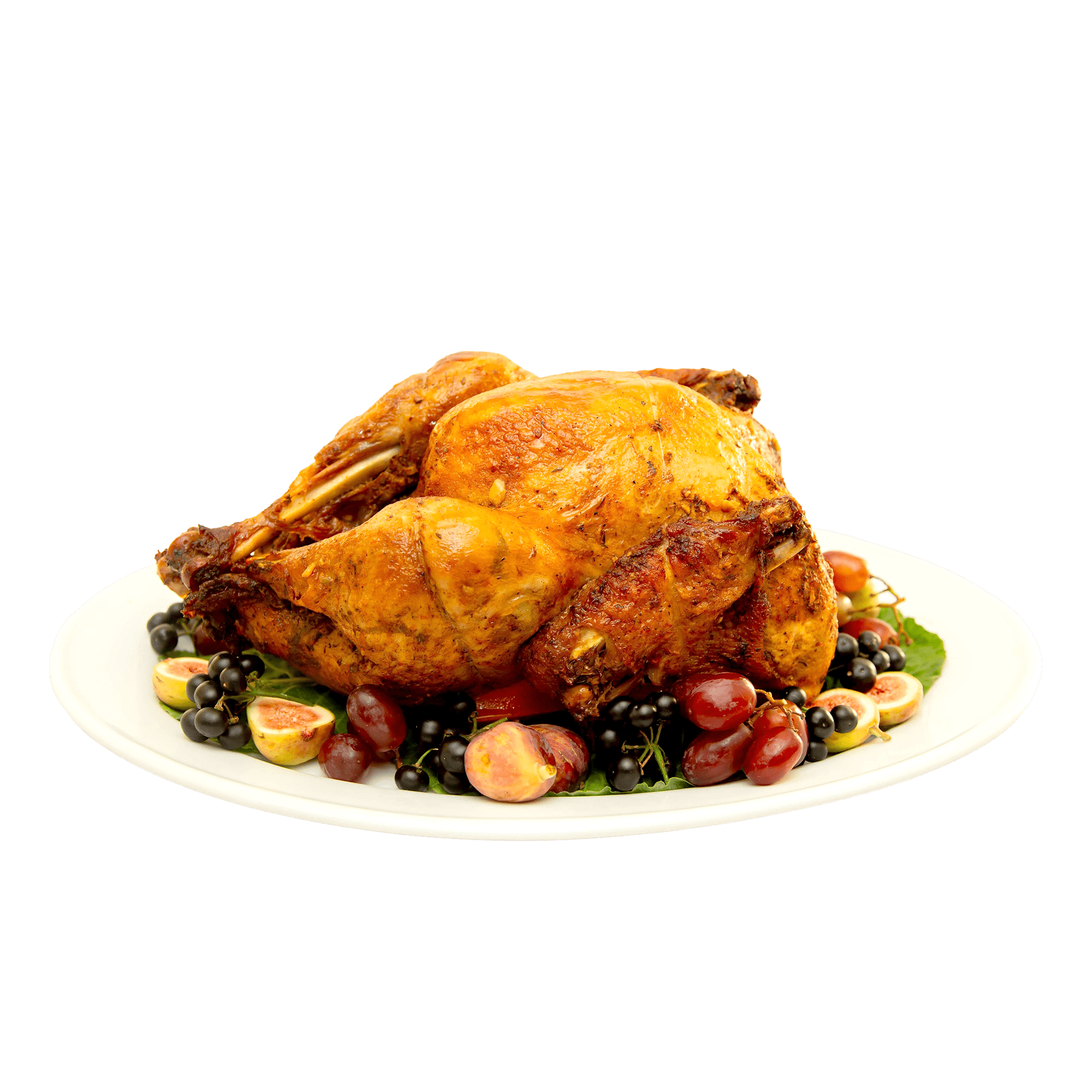 Turkey_Front.png
