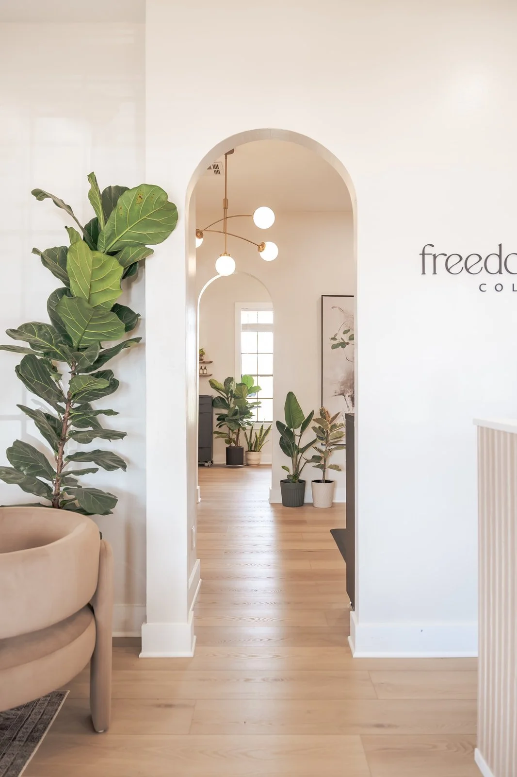 Interior view through an arched doorway showing a modern room with plants, a window, and ceiling lights.