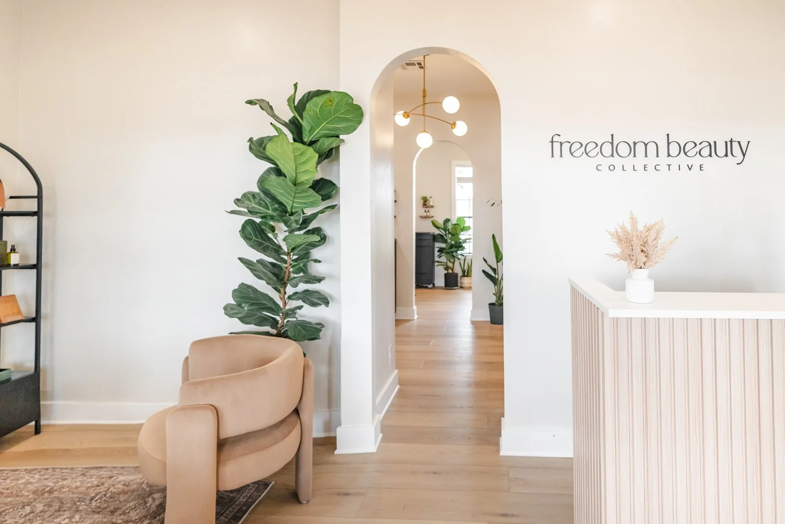 Interior of a low-tox, luxury hair salon with a lounge area, large fiddle leaf fig tree, light wood flooring, and minimal decor.