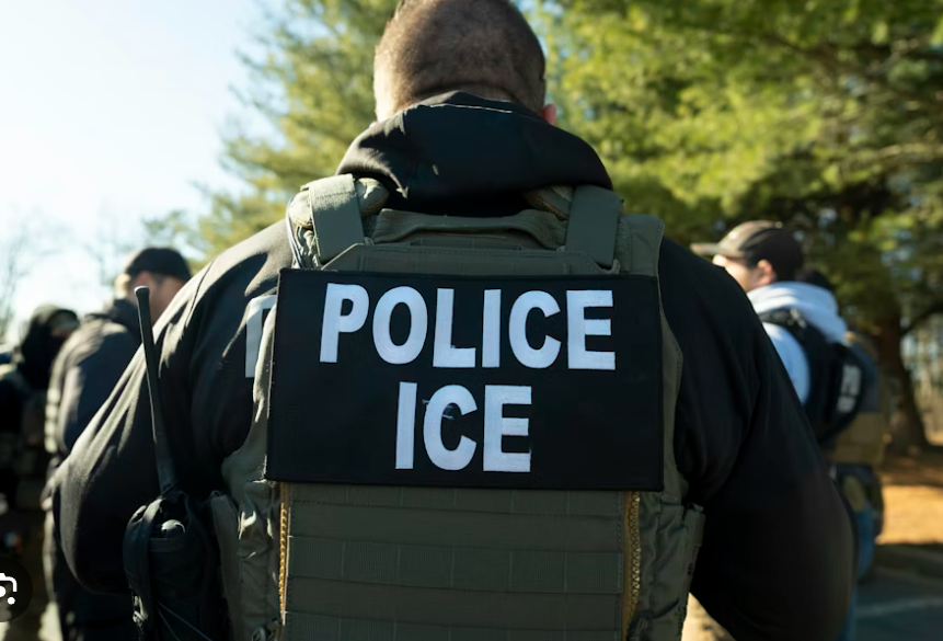 800% Deportation Surge Exposes Hidden Costs. But Why So Late?
