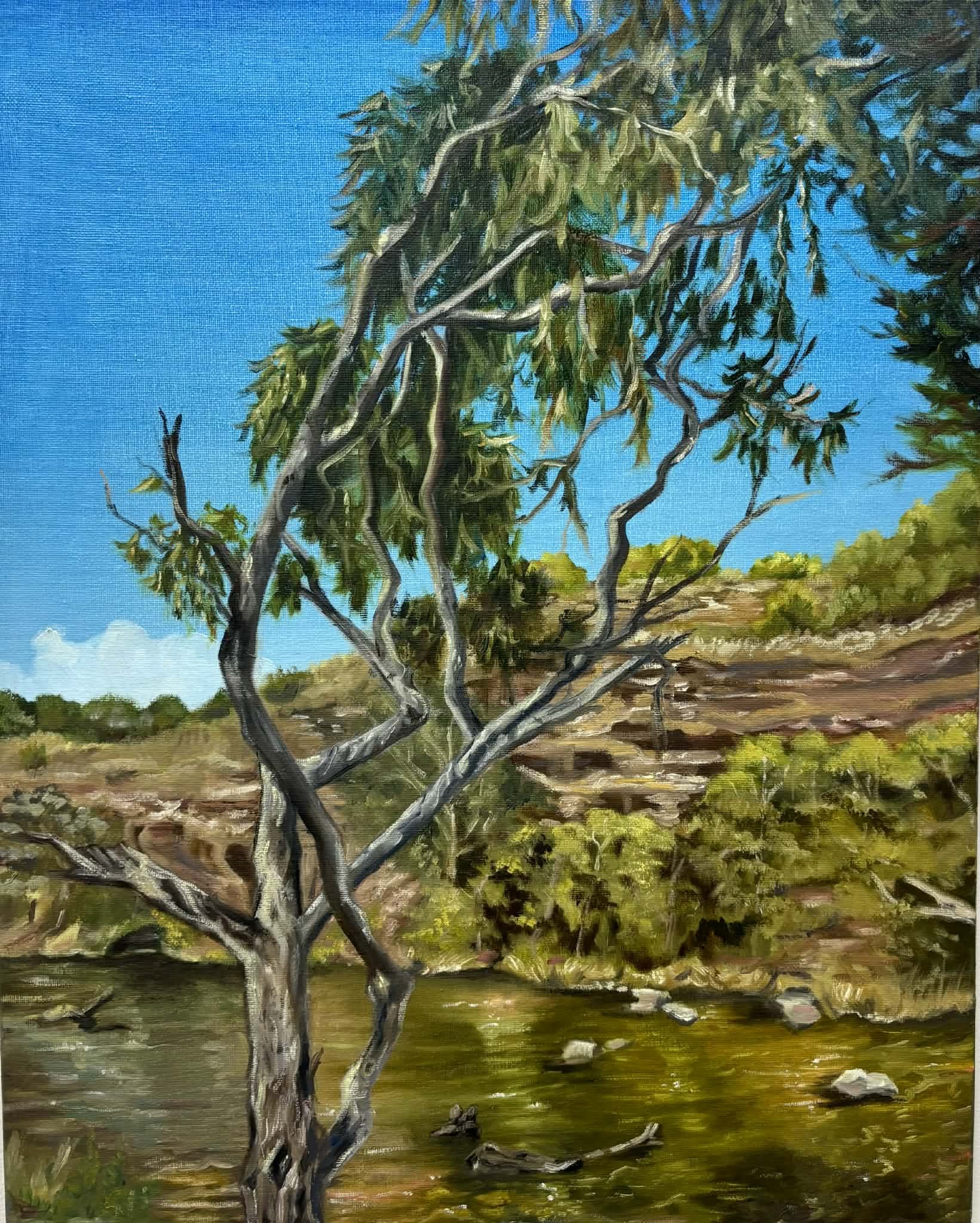 Onkaparinga river oil study 1